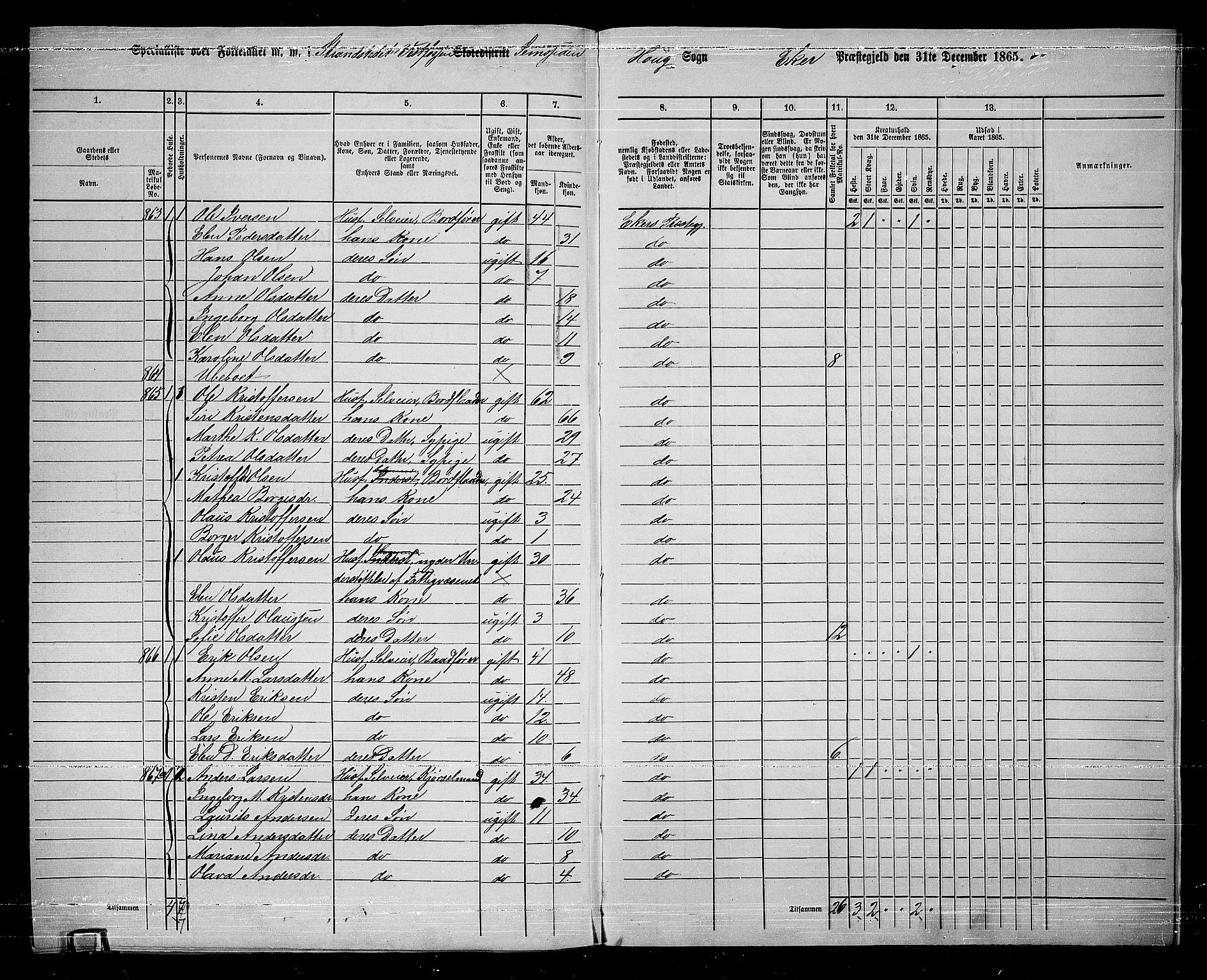 RA, 1865 census for Eiker, 1865, p. 254