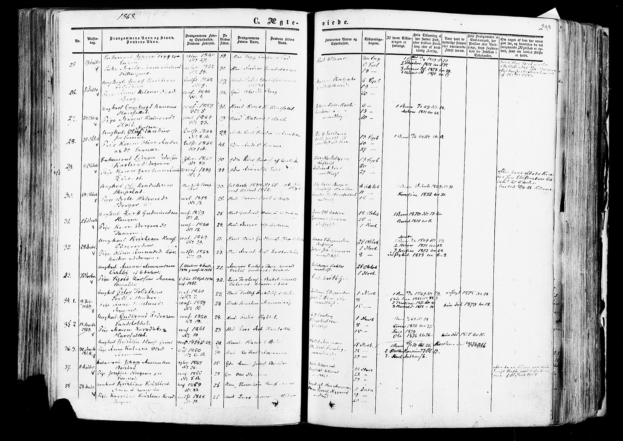 Aurskog prestekontor Kirkebøker, AV/SAO-A-10304a/F/Fa/L0007: Parish register (official) no. I 7, 1854-1877, p. 233