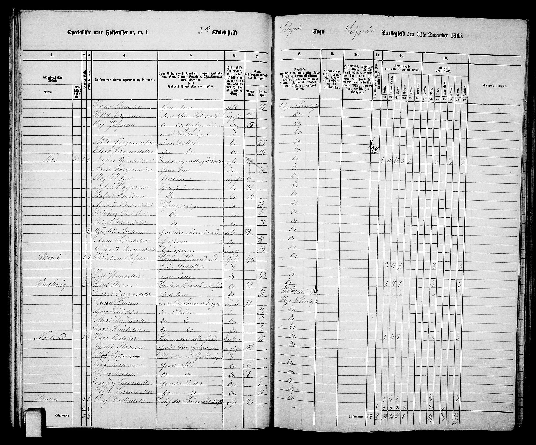 RA, 1865 census for Seljord, 1865, p. 45