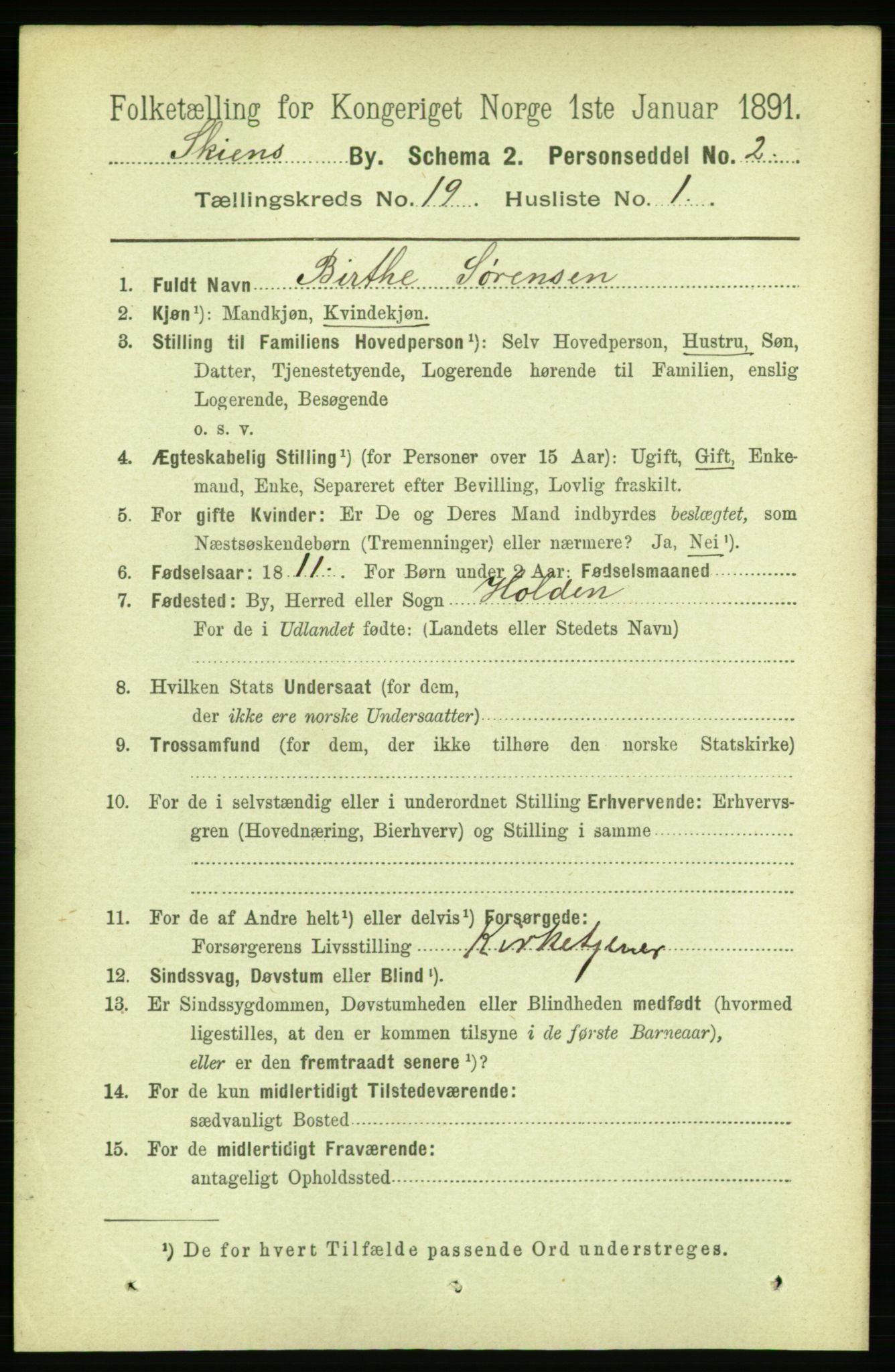 RA, 1891 census for 0806 Skien, 1891, p. 5063