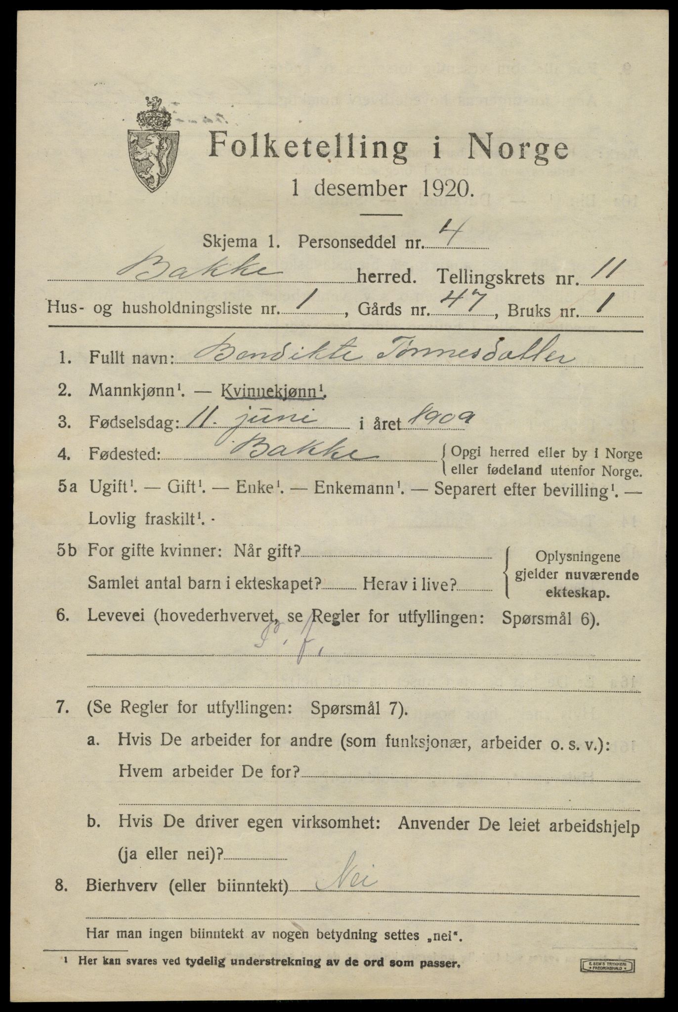 SAK, 1920 census for Bakke, 1920, p. 2832