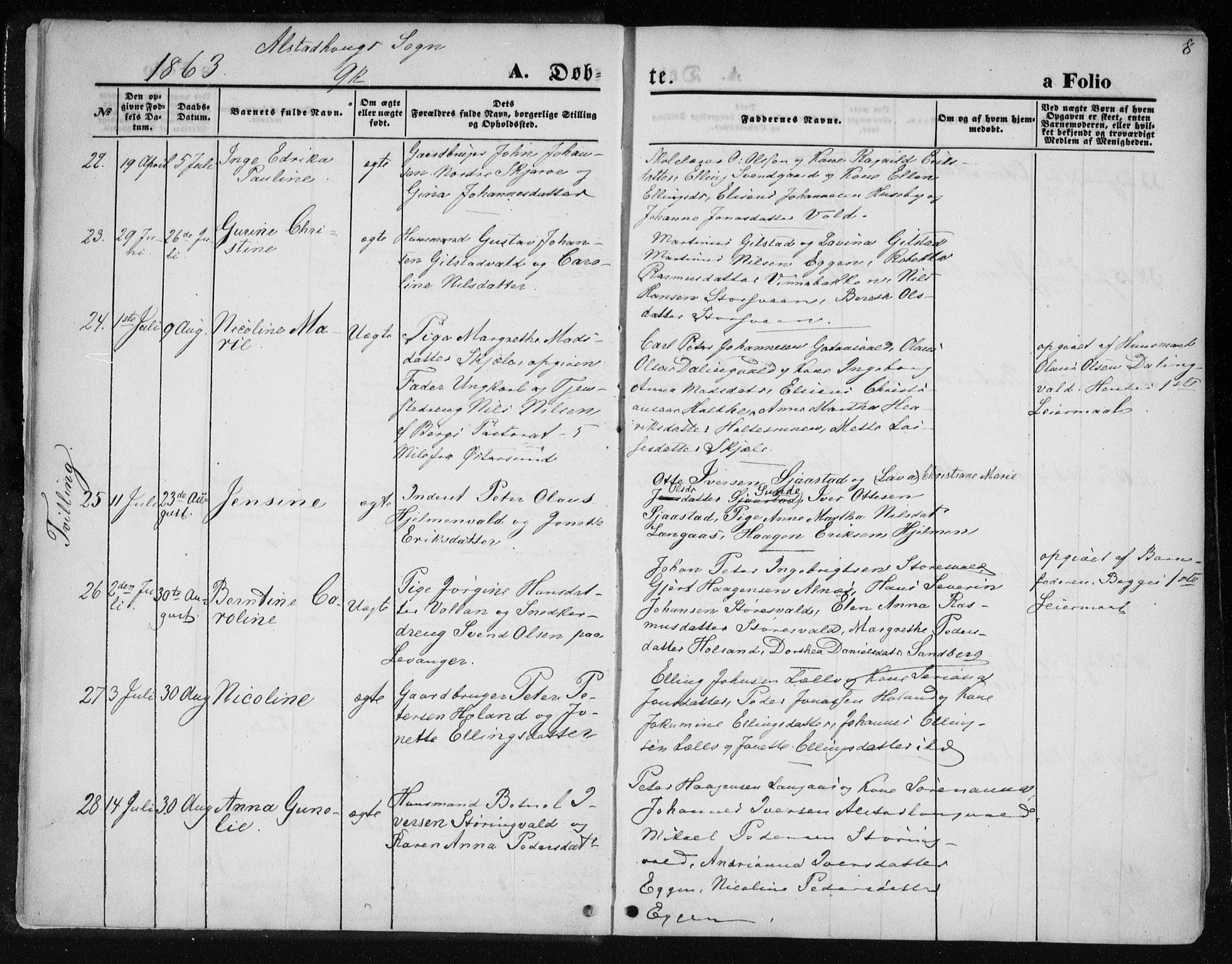 Ministerialprotokoller, klokkerbøker og fødselsregistre - Nord-Trøndelag, AV/SAT-A-1458/717/L0157: Parish register (official) no. 717A08 /1, 1863-1877, p. 8