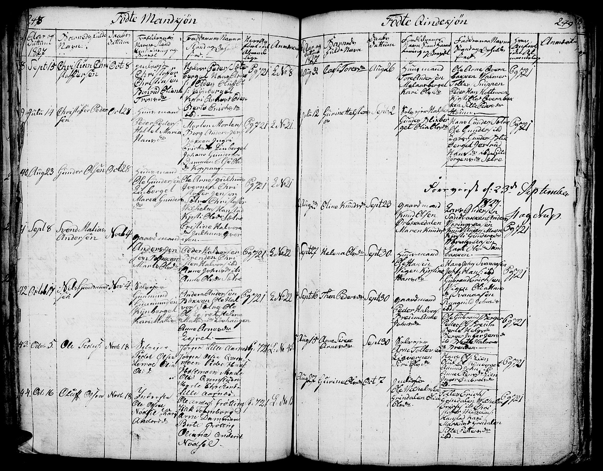 Elverum prestekontor, AV/SAH-PREST-044/H/Ha/Hab/L0001: Parish register (copy) no. 1, 1815-1829, p. 248-249