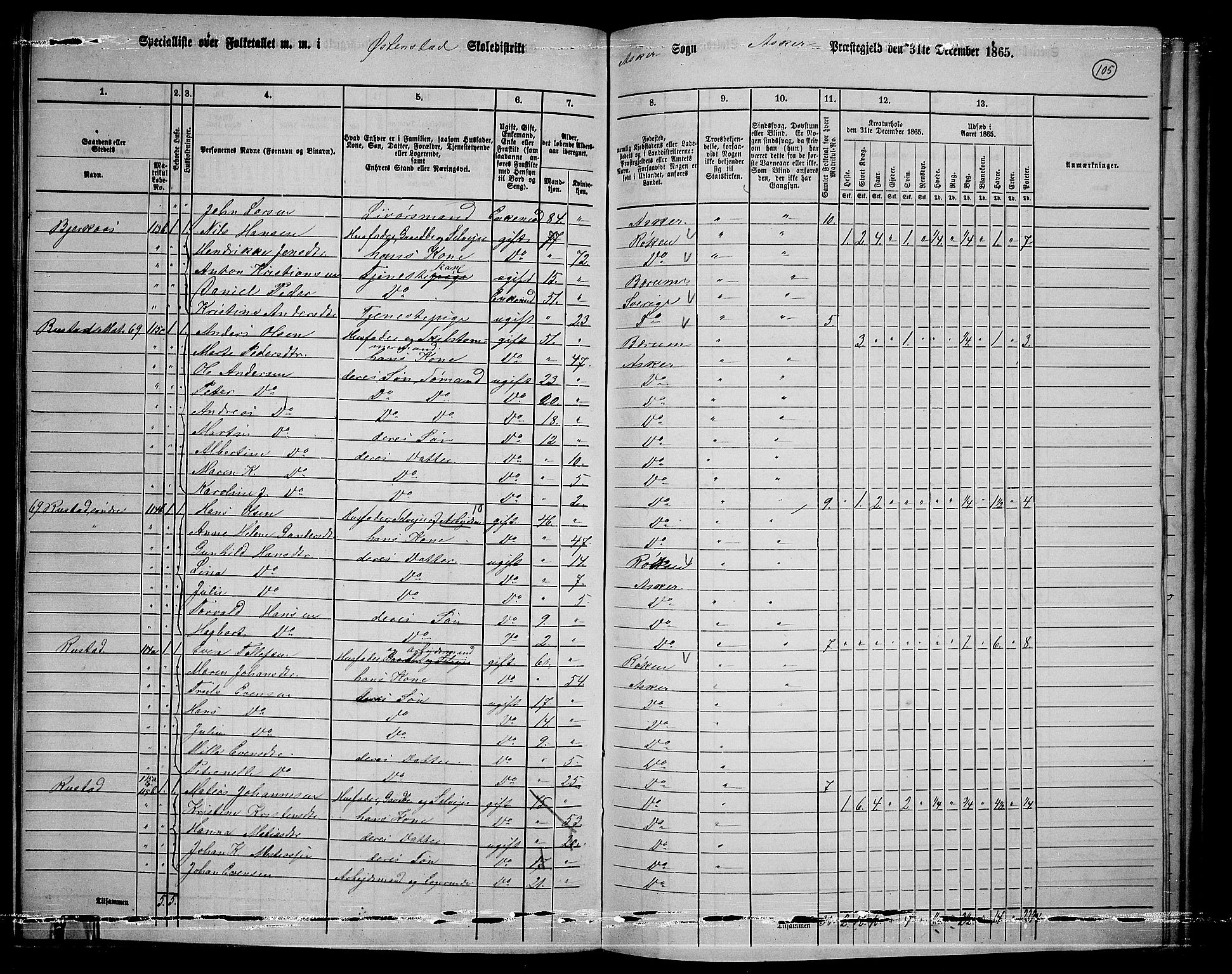 RA, 1865 census for Asker, 1865, p. 101