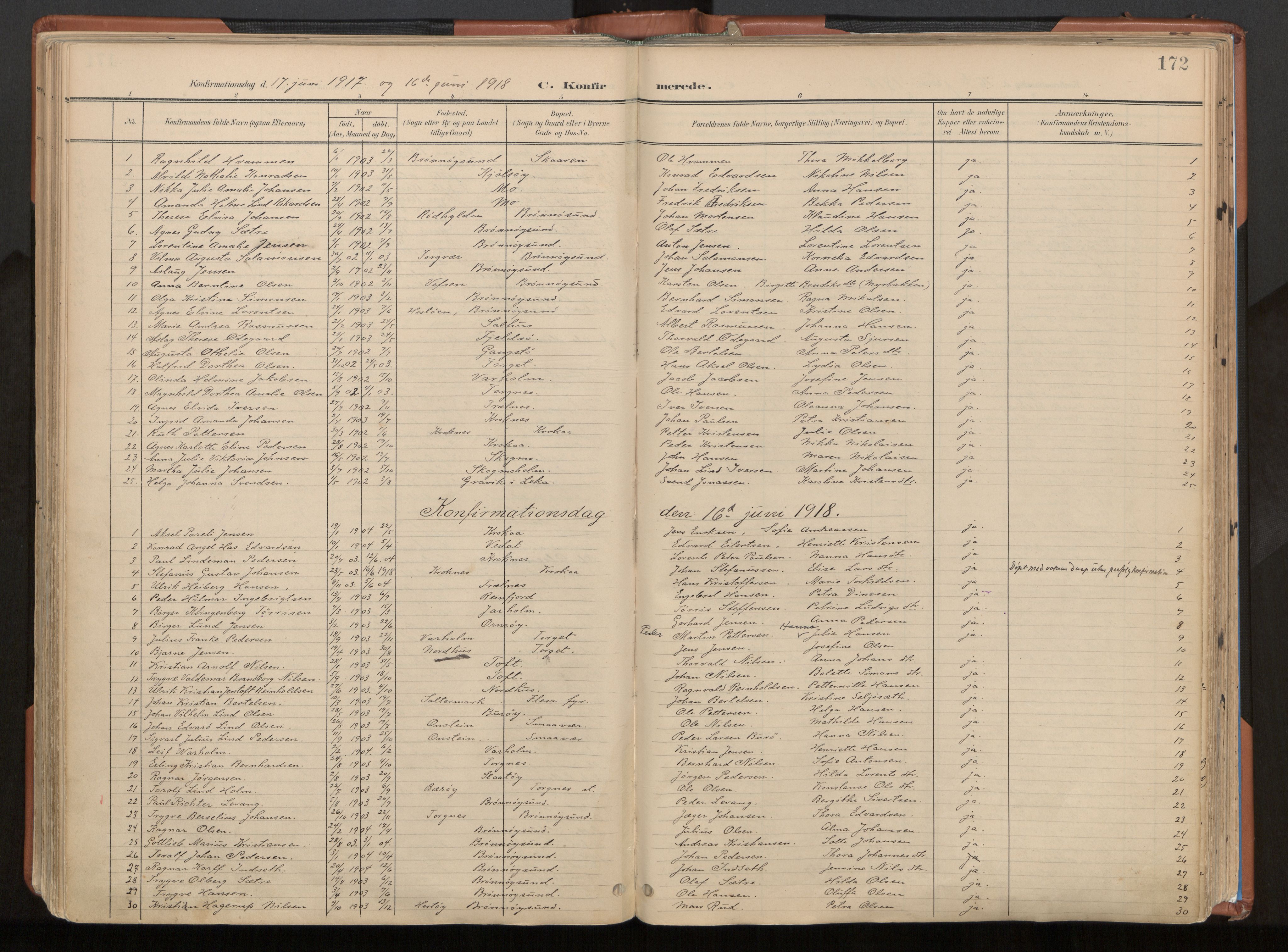 Ministerialprotokoller, klokkerbøker og fødselsregistre - Nordland, AV/SAT-A-1459/813/L0201: Parish register (official) no. 813A11, 1901-1918, p. 172