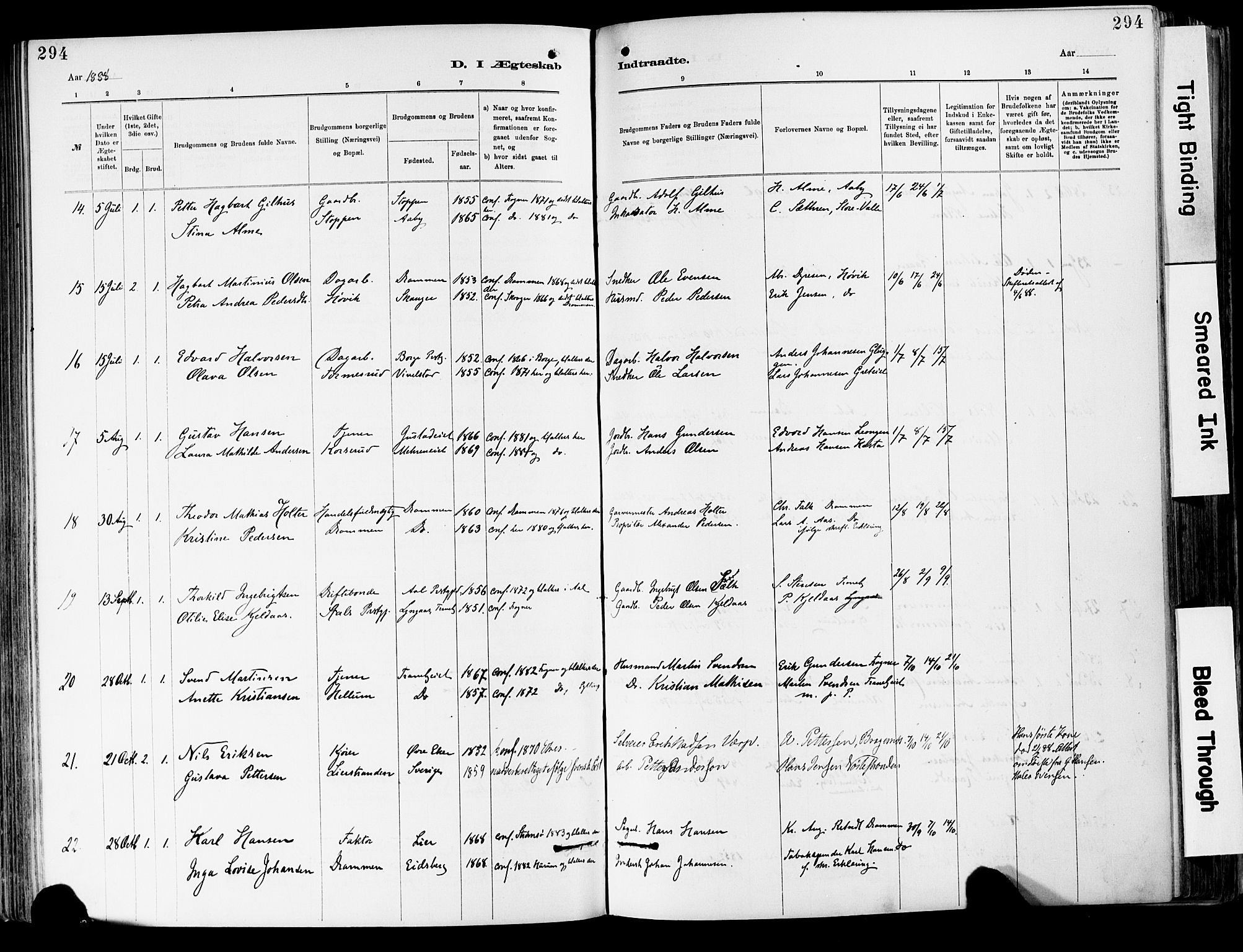 Lier kirkebøker, SAKO/A-230/F/Fa/L0015: Parish register (official) no. I 15, 1883-1894, p. 294