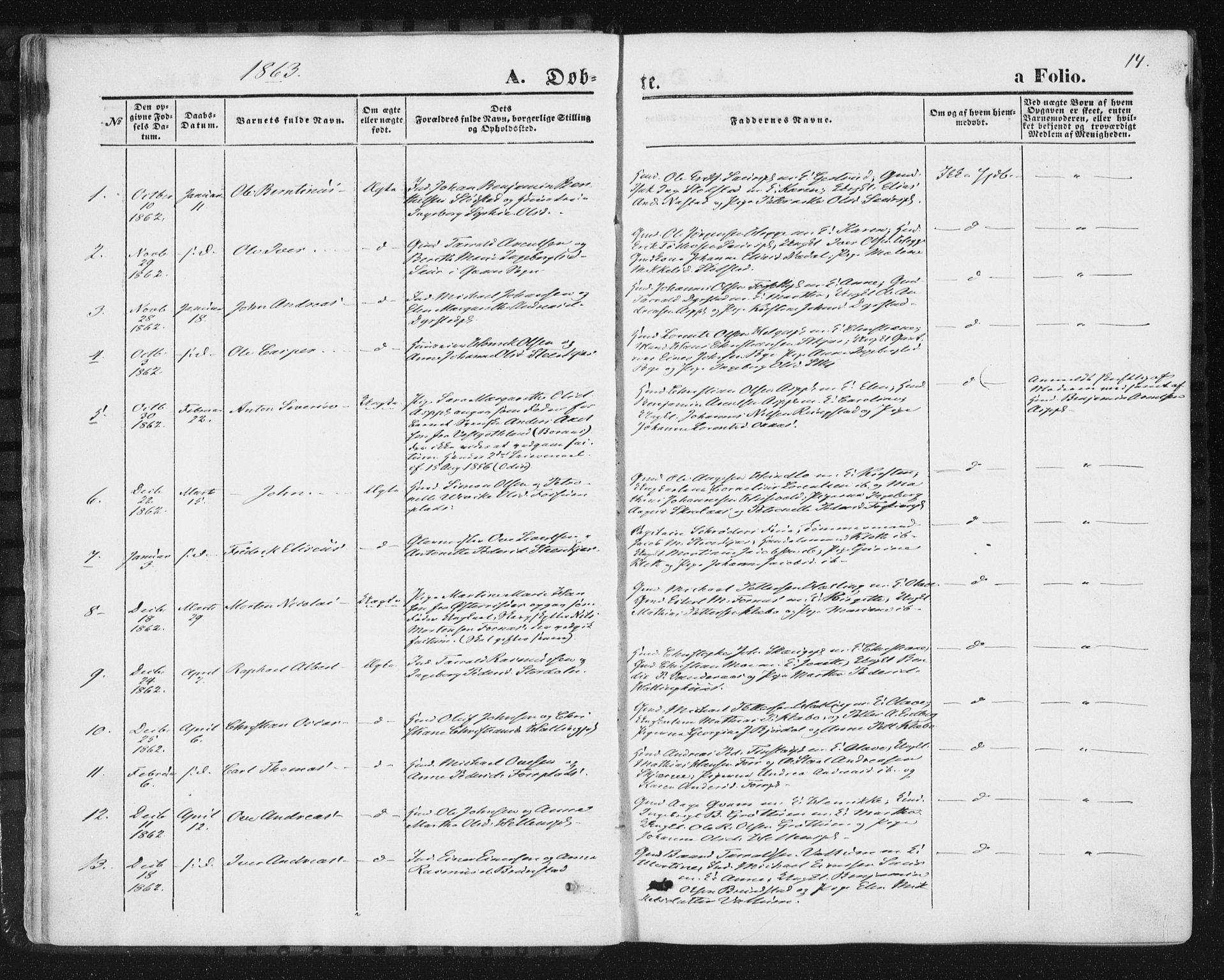 Ministerialprotokoller, klokkerbøker og fødselsregistre - Nord-Trøndelag, SAT/A-1458/746/L0447: Parish register (official) no. 746A06, 1860-1877, p. 14