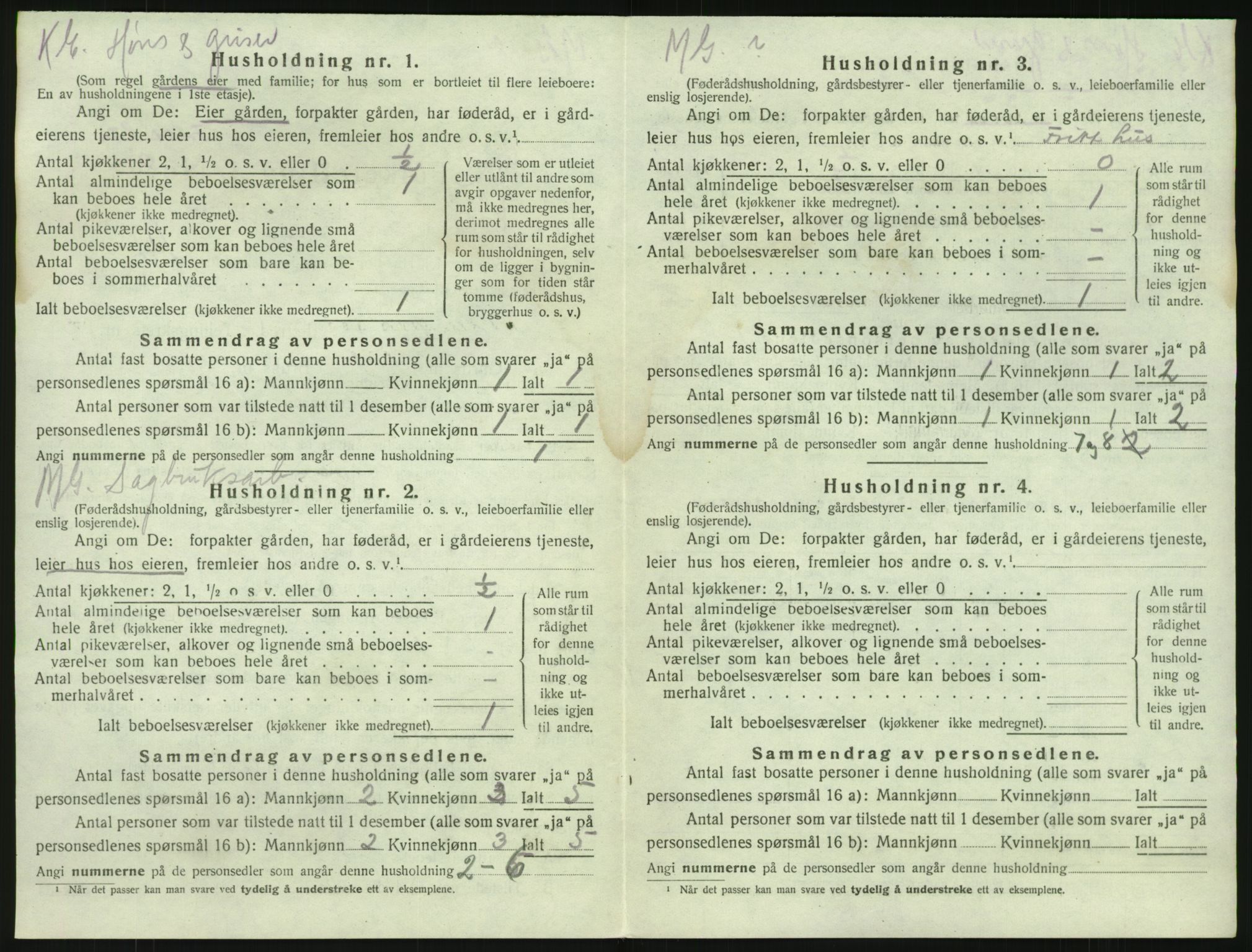 SAKO, 1920 census for Brunlanes, 1920, p. 748