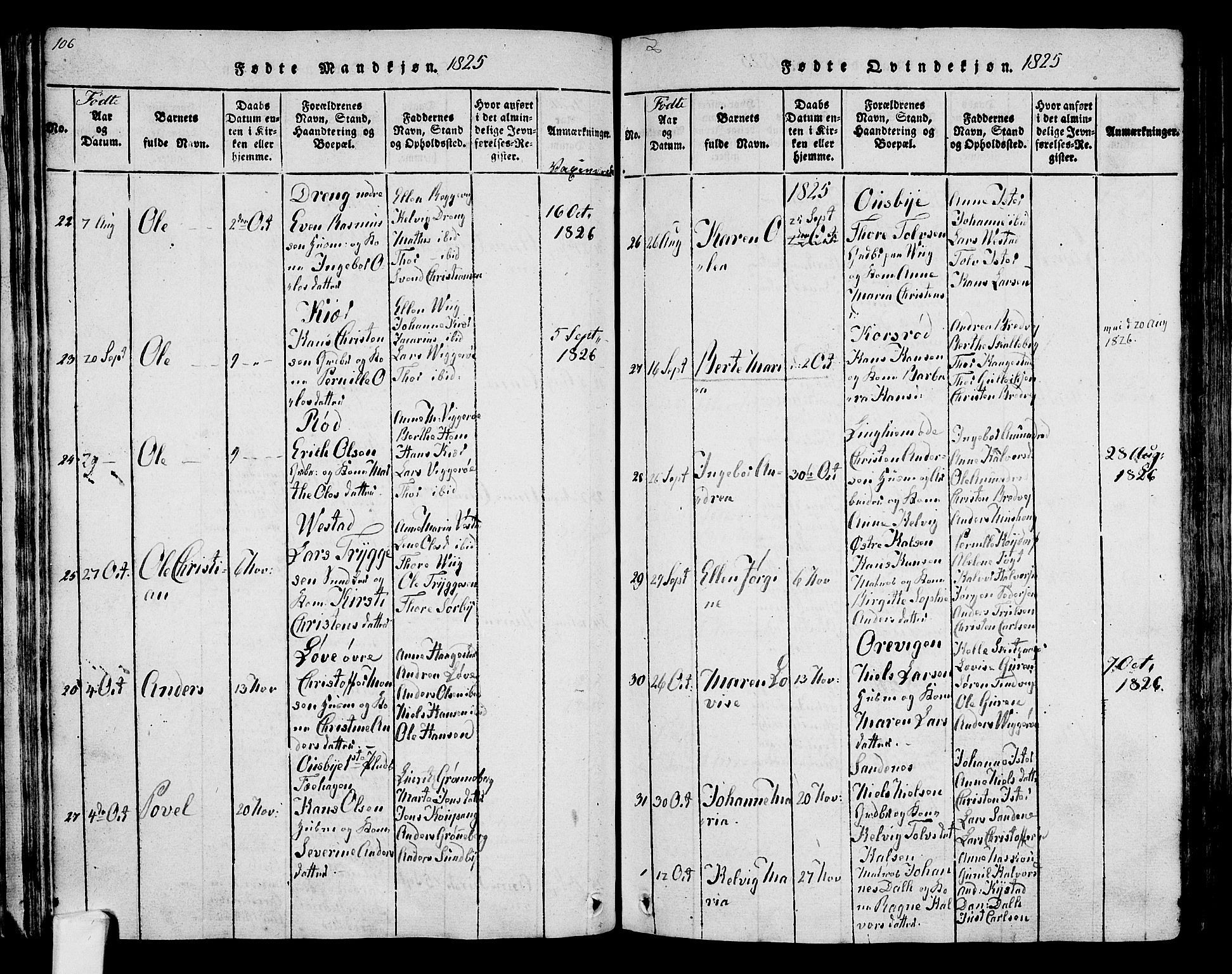 Tjølling kirkebøker, SAKO/A-60/F/Fa/L0005: Parish register (official) no. 5, 1814-1836, p. 106-107