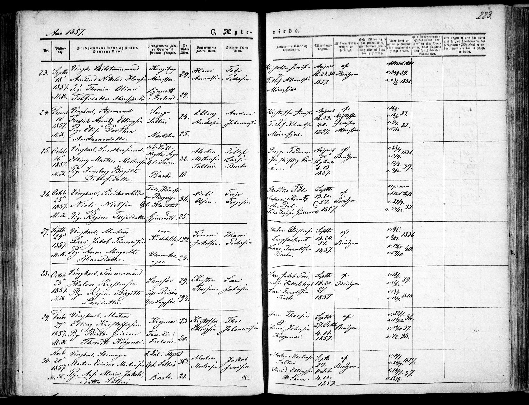 Tromøy sokneprestkontor, AV/SAK-1111-0041/F/Fa/L0006: Parish register (official) no. A 6, 1855-1863, p. 223