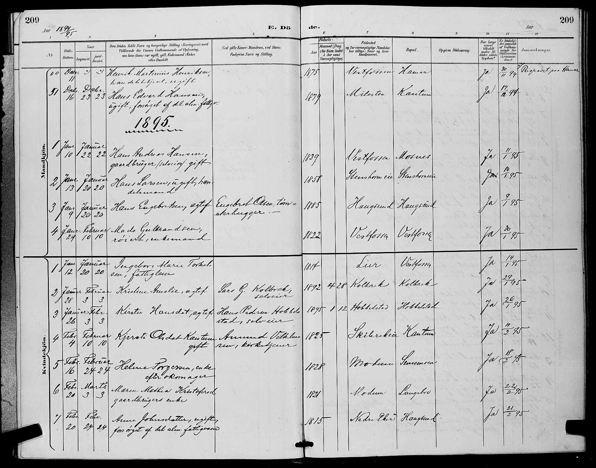 Eiker kirkebøker, SAKO/A-4/G/Ga/L0007: Parish register (copy) no. I 7, 1893-1902, p. 209