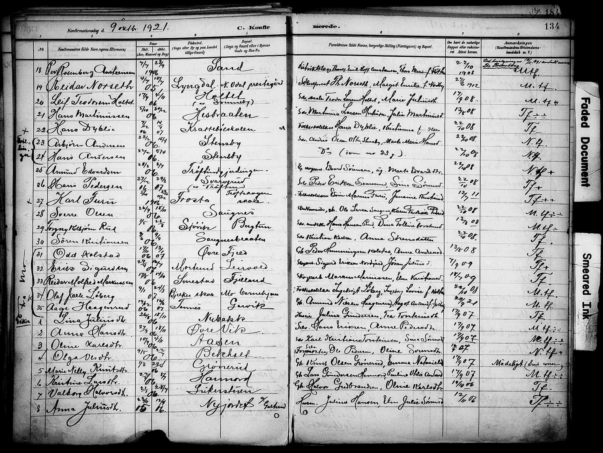 Nord-Odal prestekontor, AV/SAH-PREST-032/H/Ha/Haa/L0007: Parish register (official) no. 7, 1902-1926, p. 134