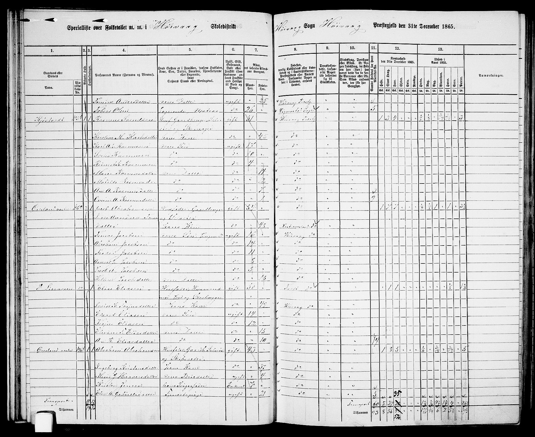 RA, 1865 census for Høvåg, 1865, p. 38