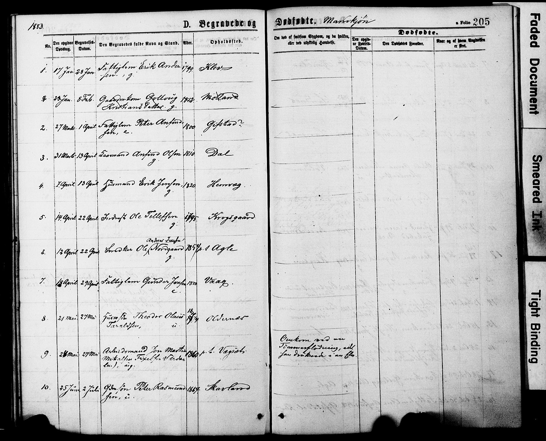 Ministerialprotokoller, klokkerbøker og fødselsregistre - Nord-Trøndelag, AV/SAT-A-1458/749/L0473: Parish register (official) no. 749A07, 1873-1887, p. 205