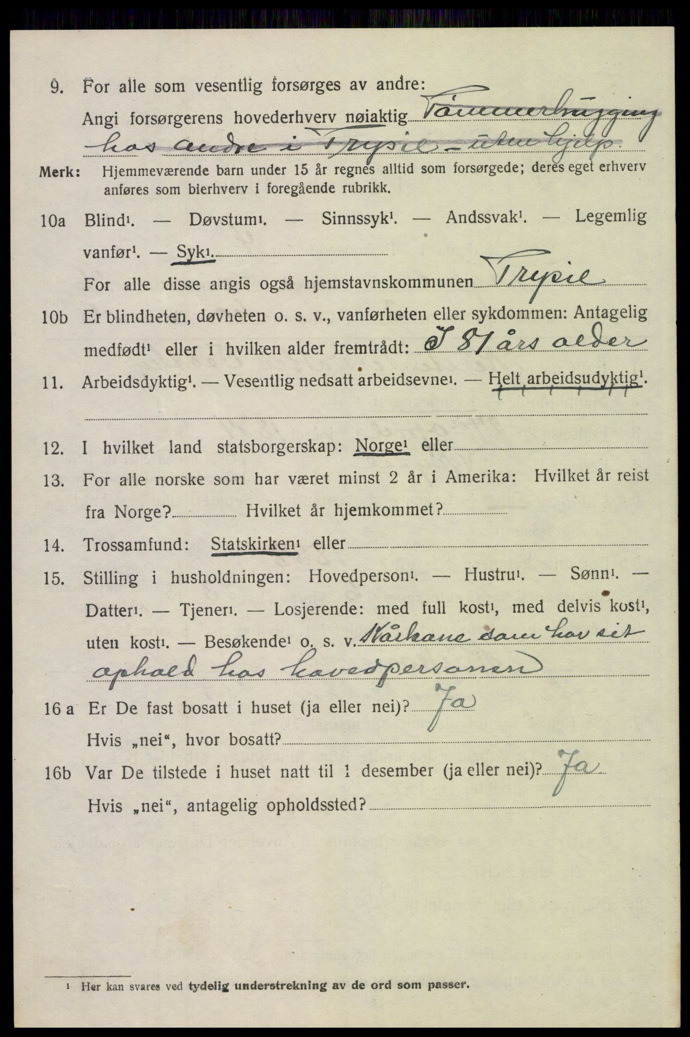 SAH, 1920 census for Trysil, 1920, p. 16150