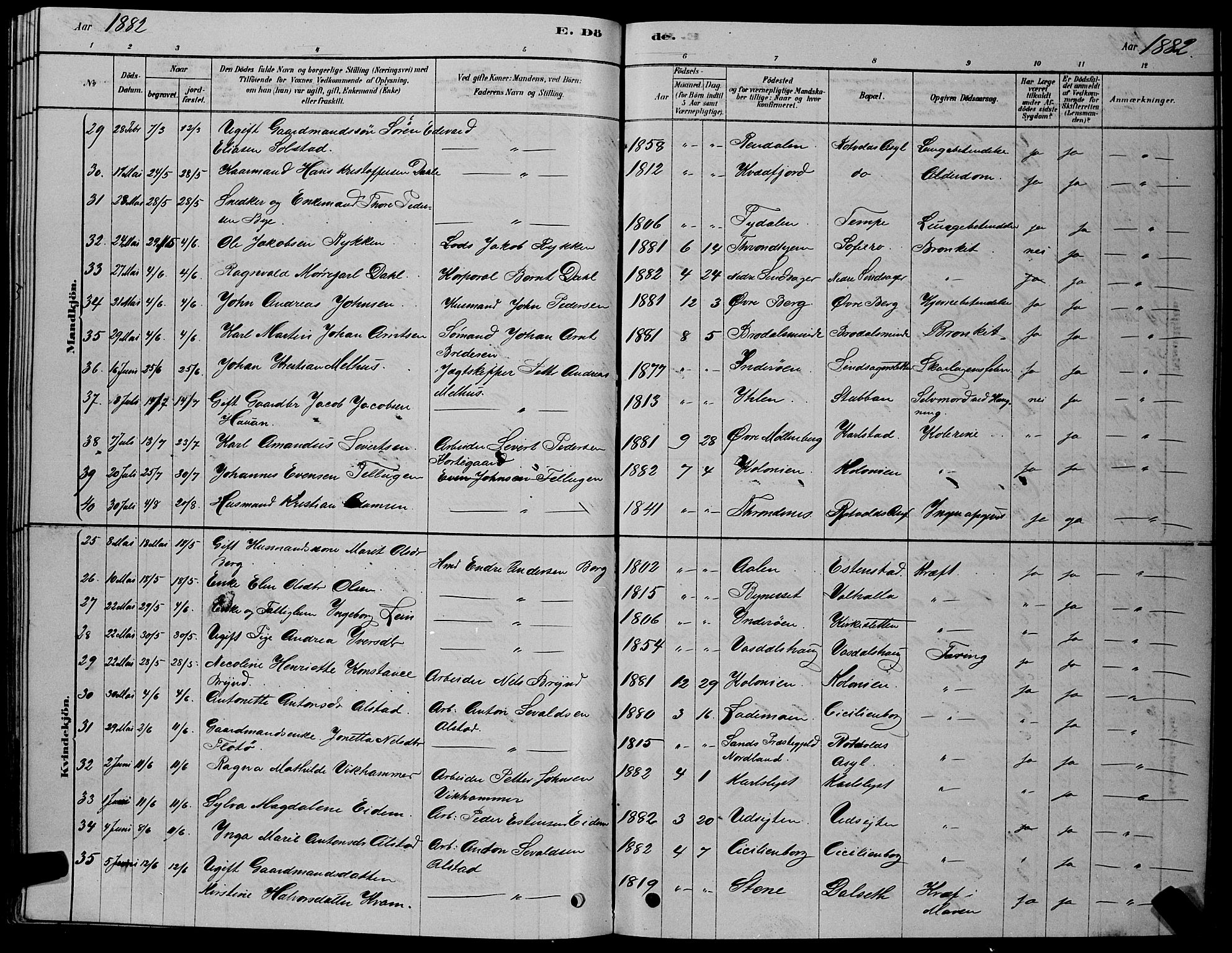 Ministerialprotokoller, klokkerbøker og fødselsregistre - Sør-Trøndelag, AV/SAT-A-1456/606/L0312: Parish register (copy) no. 606C08, 1878-1894