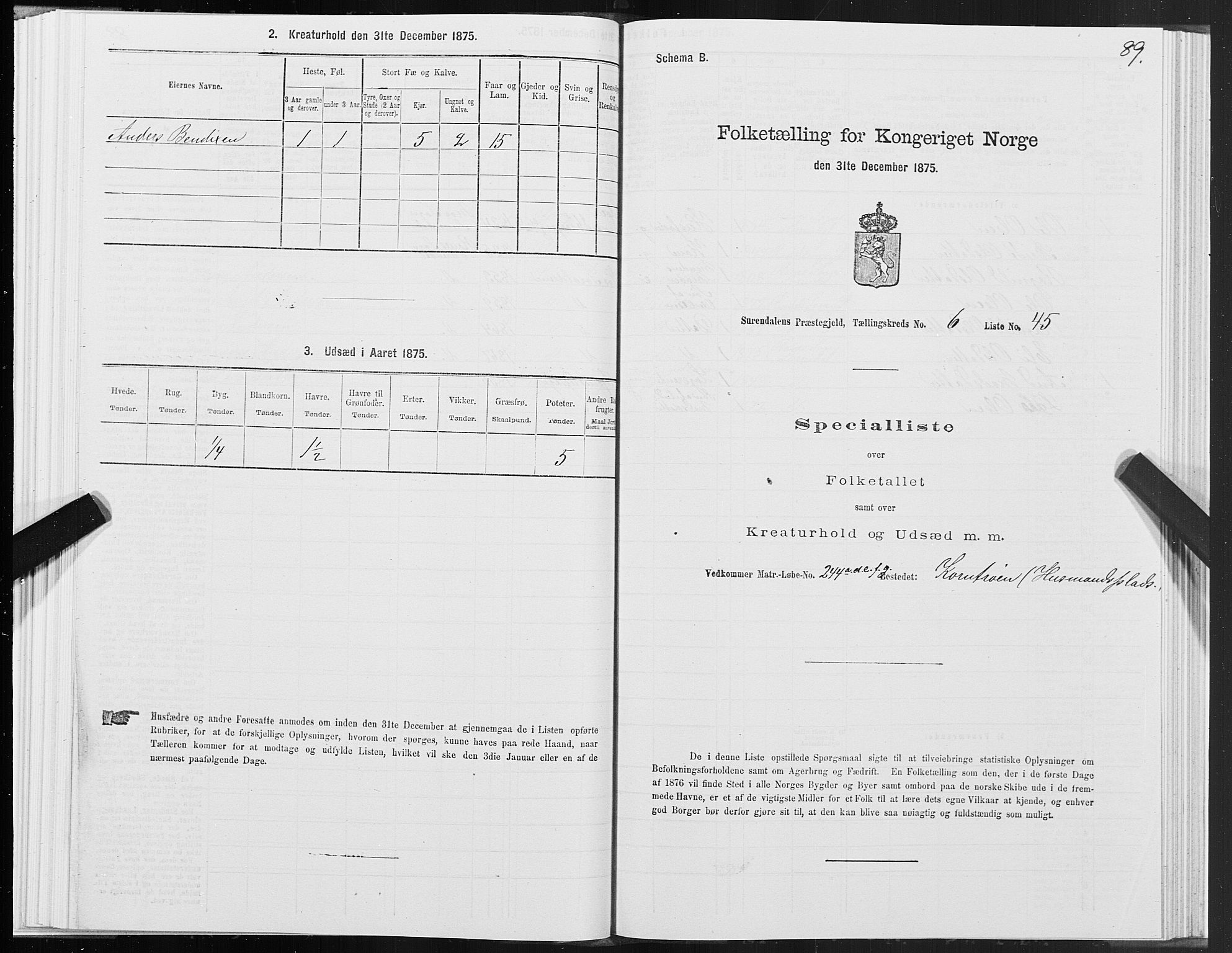 SAT, 1875 census for 1566P Surnadal, 1875, p. 3089