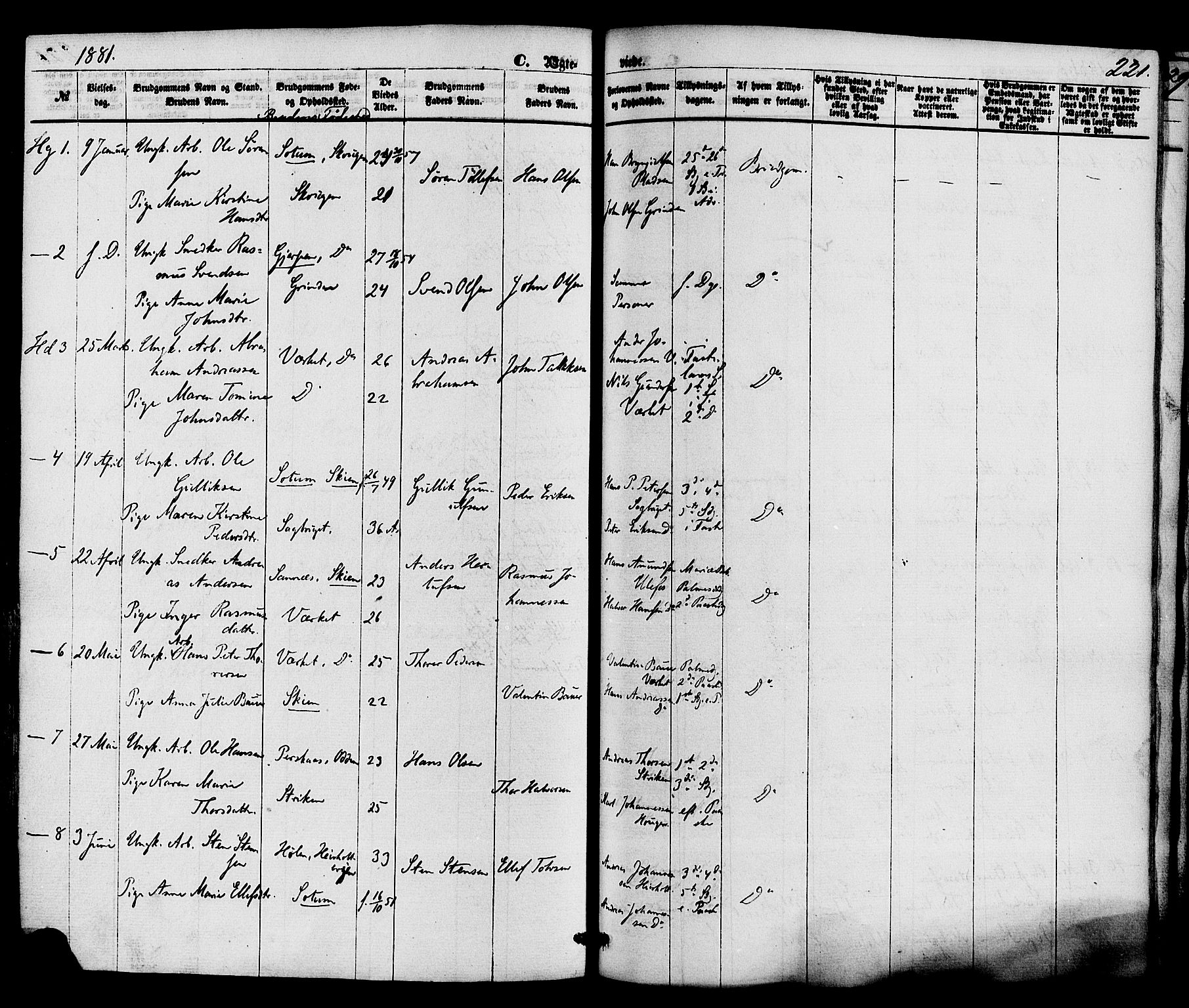 Holla kirkebøker, AV/SAKO-A-272/F/Fa/L0007: Parish register (official) no. 7, 1869-1881, p. 221