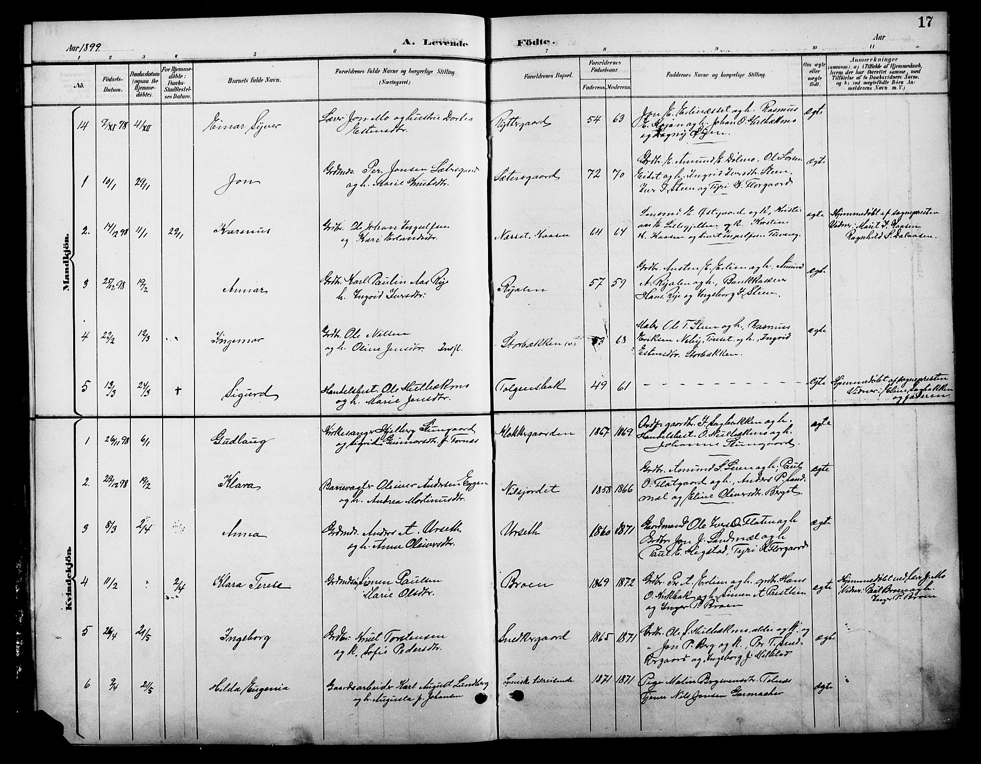 Tolga prestekontor, AV/SAH-PREST-062/L/L0009: Parish register (copy) no. 9, 1892-1919, p. 17