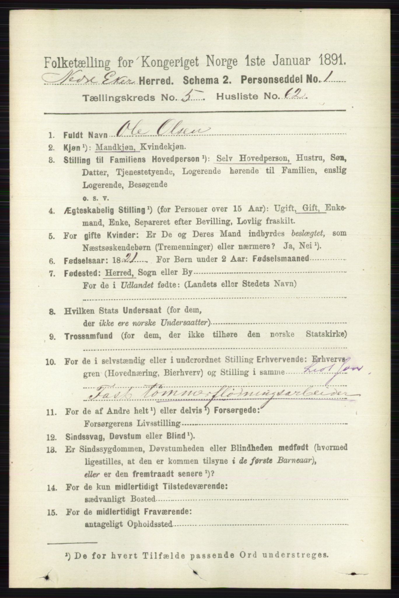 RA, 1891 census for 0625 Nedre Eiker, 1891, p. 2705