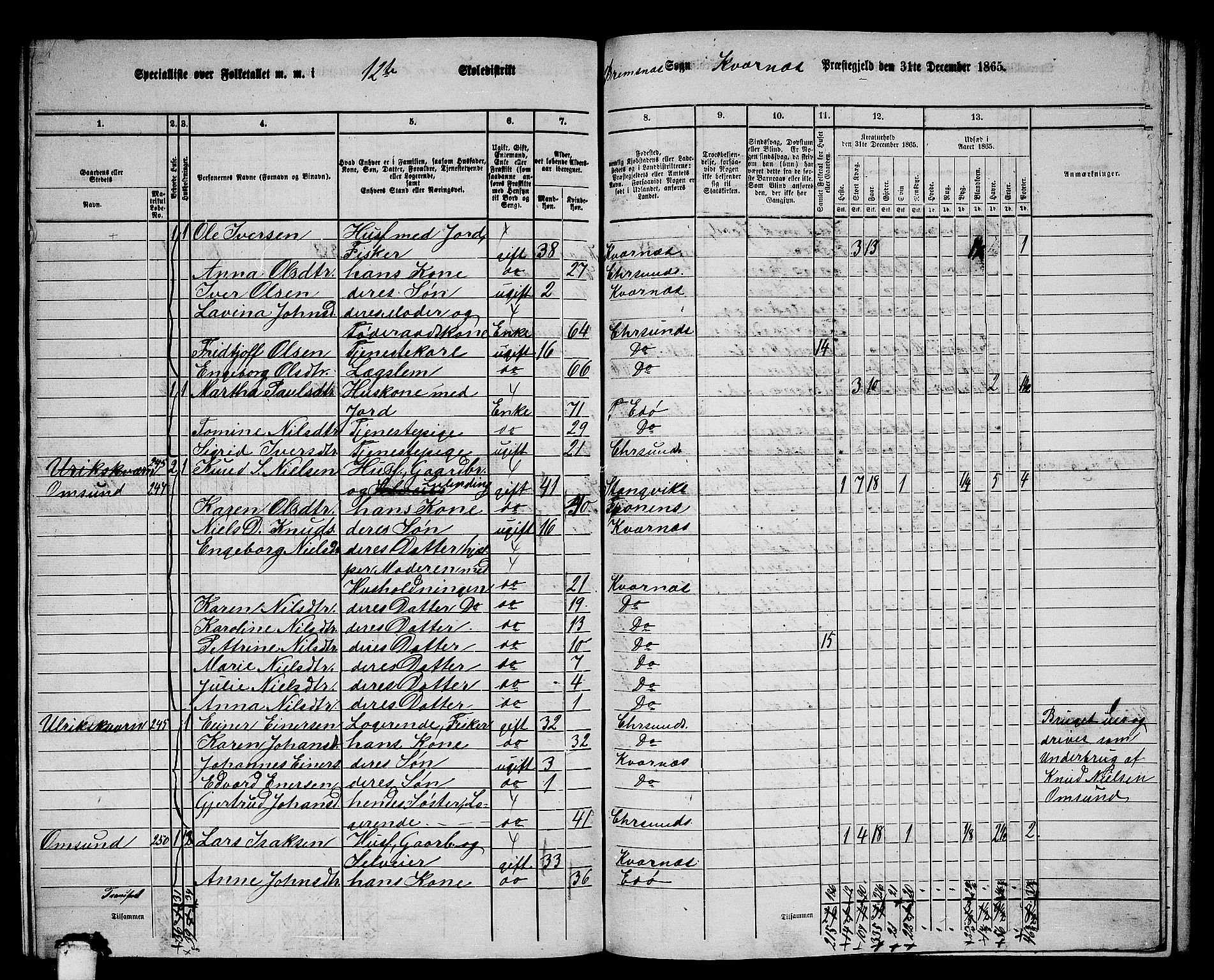 RA, 1865 census for Kvernes, 1865, p. 222