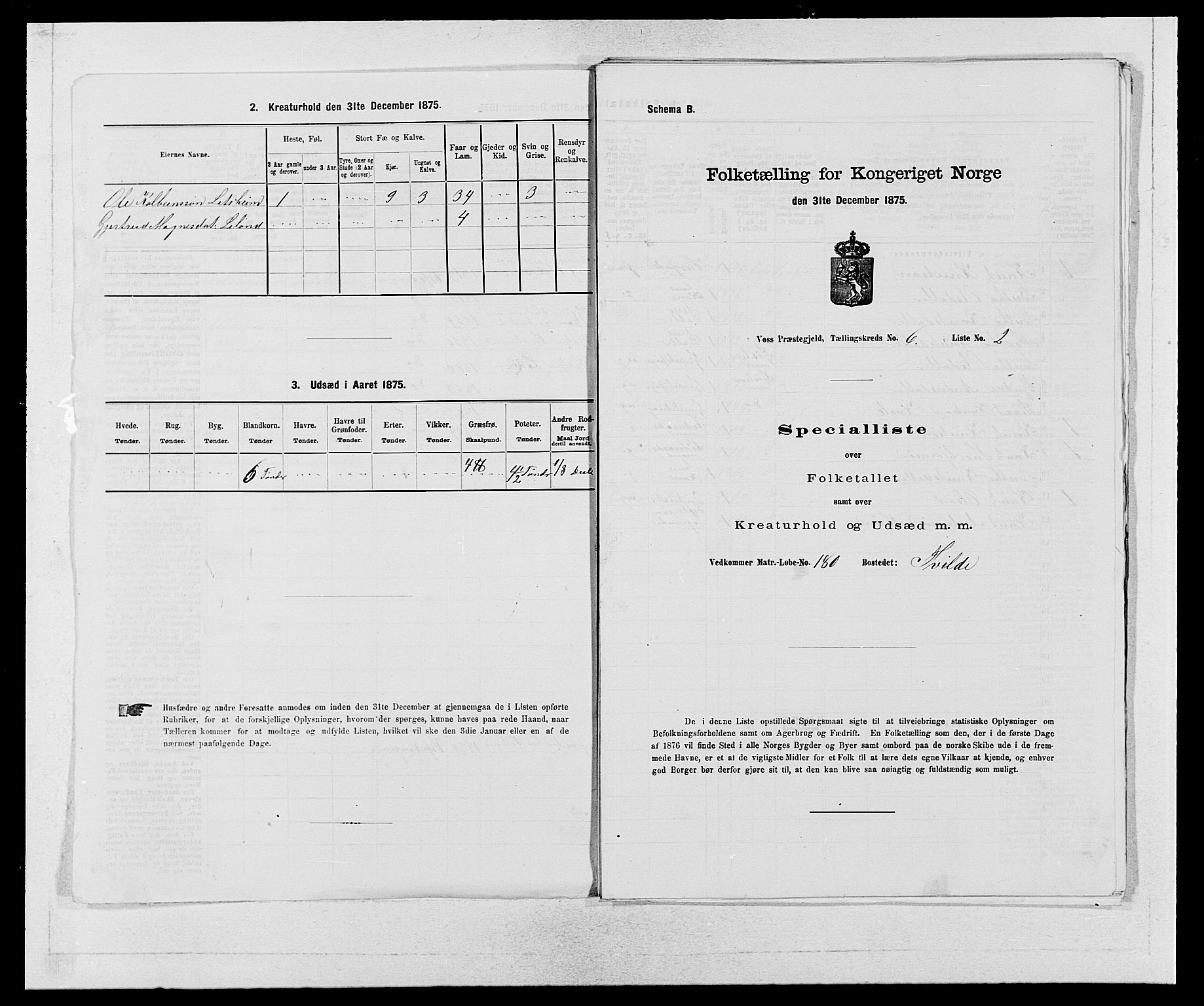 SAB, 1875 census for 1235P Voss, 1875, p. 703