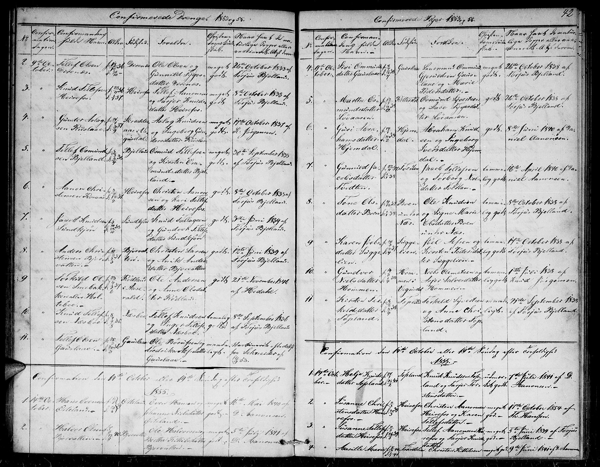 Herefoss sokneprestkontor, SAK/1111-0019/F/Fb/Fba/L0001: Parish register (copy) no. B 1, 1851-1868, p. 42