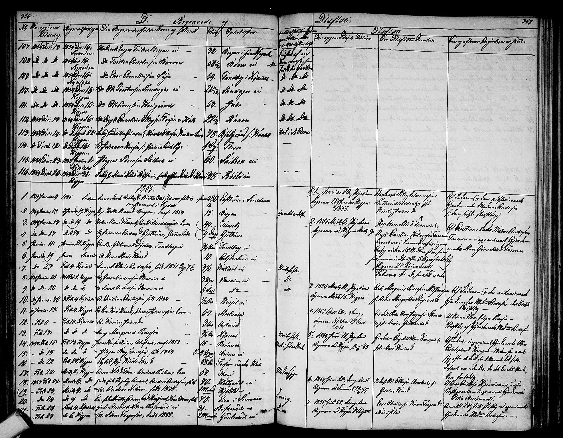 Modum kirkebøker, SAKO/A-234/G/Ga/L0006: Parish register (copy) no. I 6, 1854-1868, p. 356-357