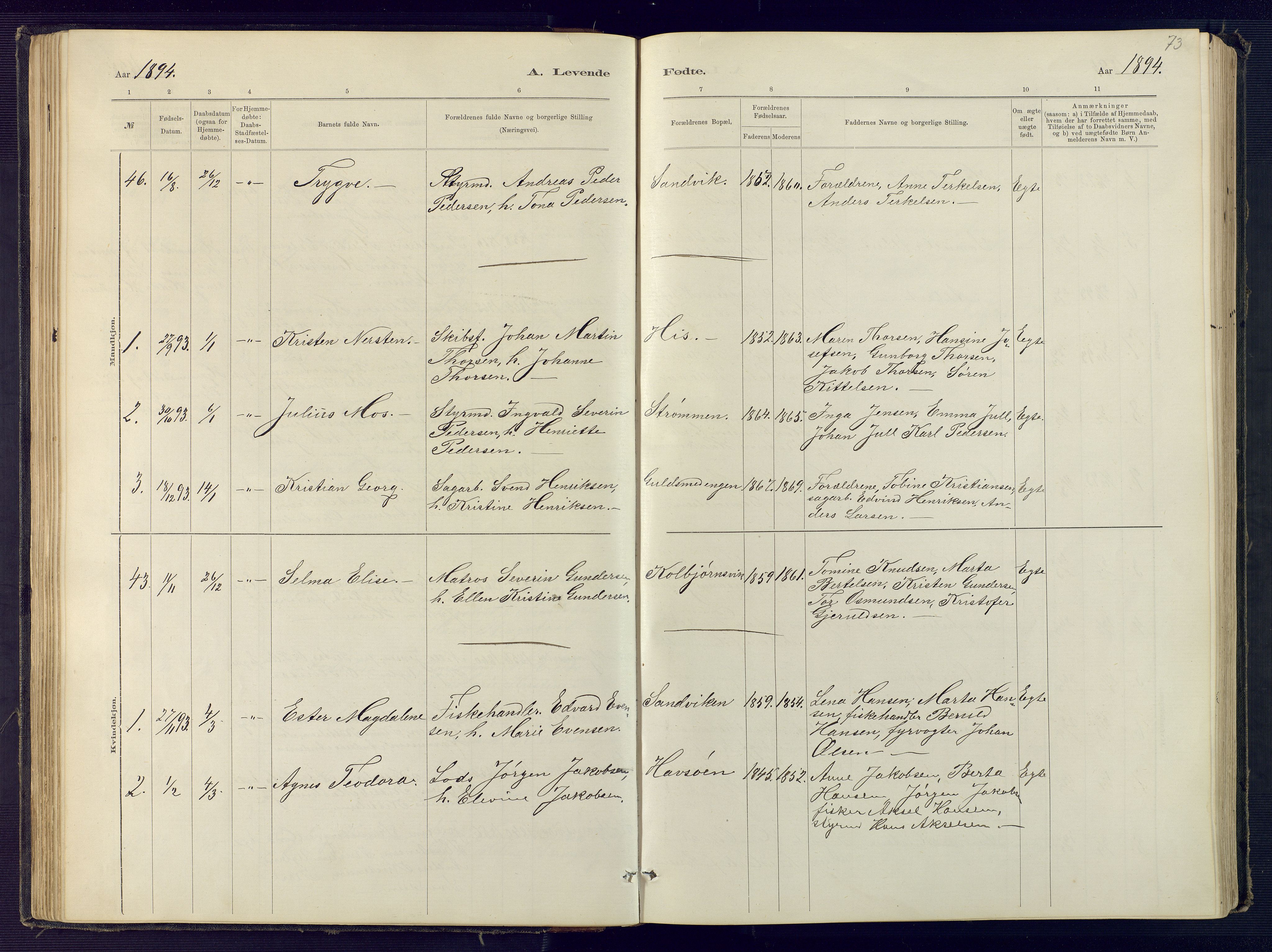 Hisøy sokneprestkontor, SAK/1111-0020/F/Fb/L0003: Parish register (copy) no. B 3, 1885-1905, p. 73