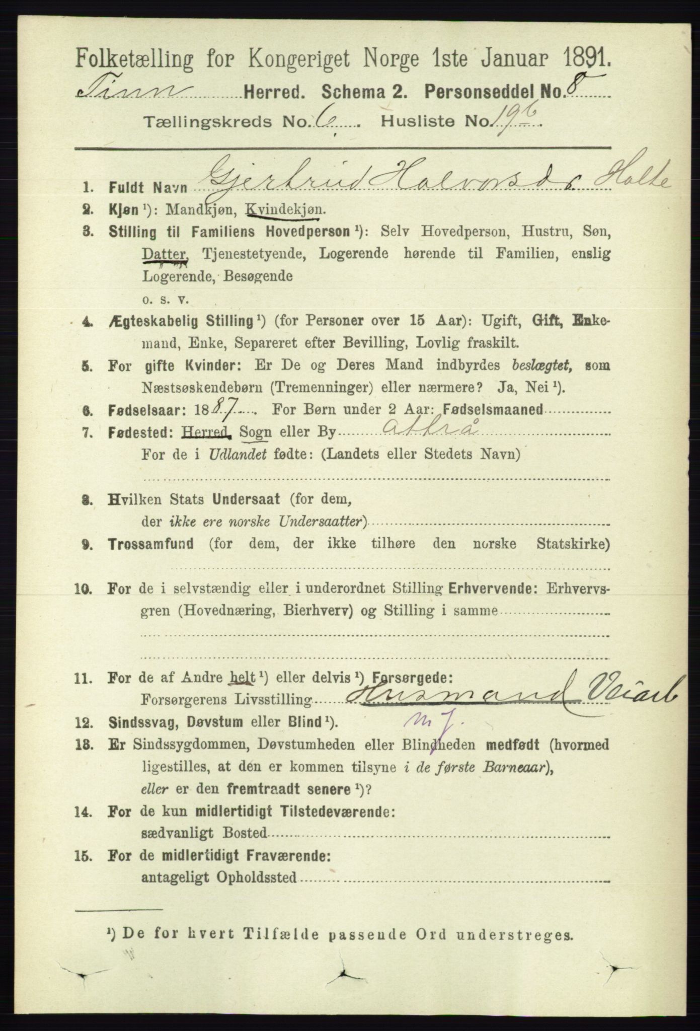 RA, 1891 census for 0826 Tinn, 1891, p. 1343