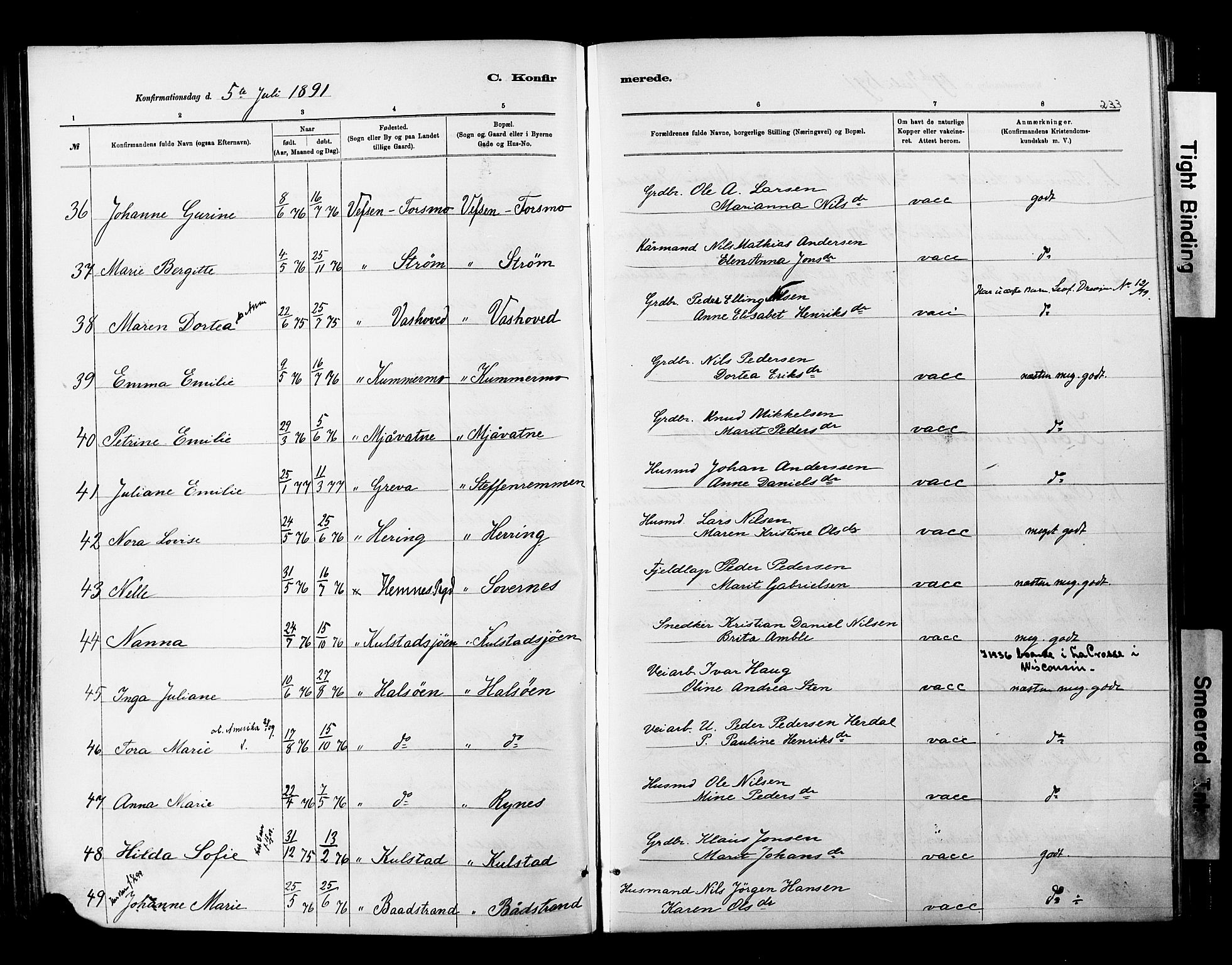 Ministerialprotokoller, klokkerbøker og fødselsregistre - Nordland, AV/SAT-A-1459/820/L0295: Parish register (official) no. 820A16, 1880-1896, p. 233