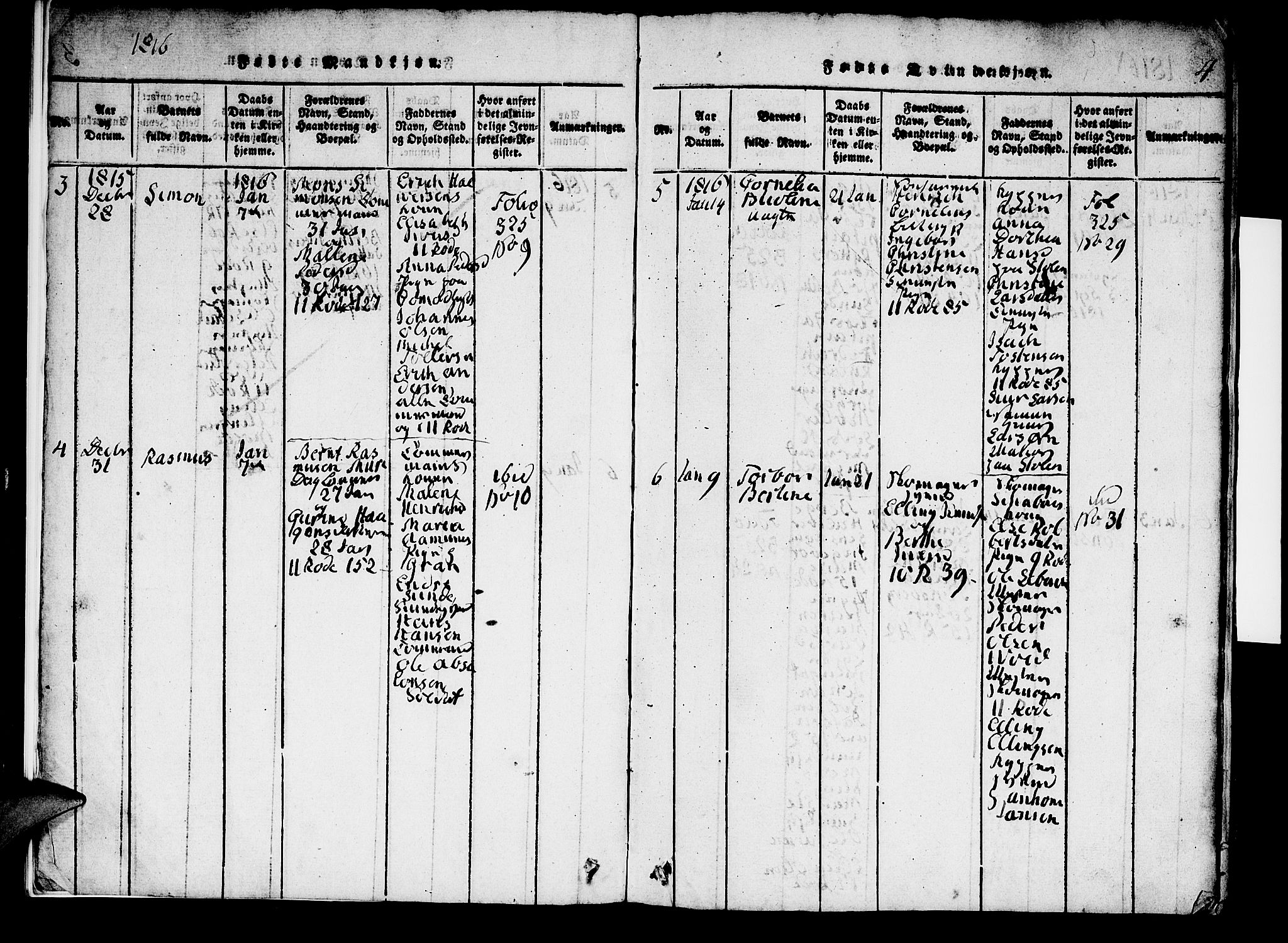 Domkirken sokneprestembete, AV/SAB-A-74801/H/Hab/L0001: Parish register (copy) no. A 1, 1816-1821, p. 4