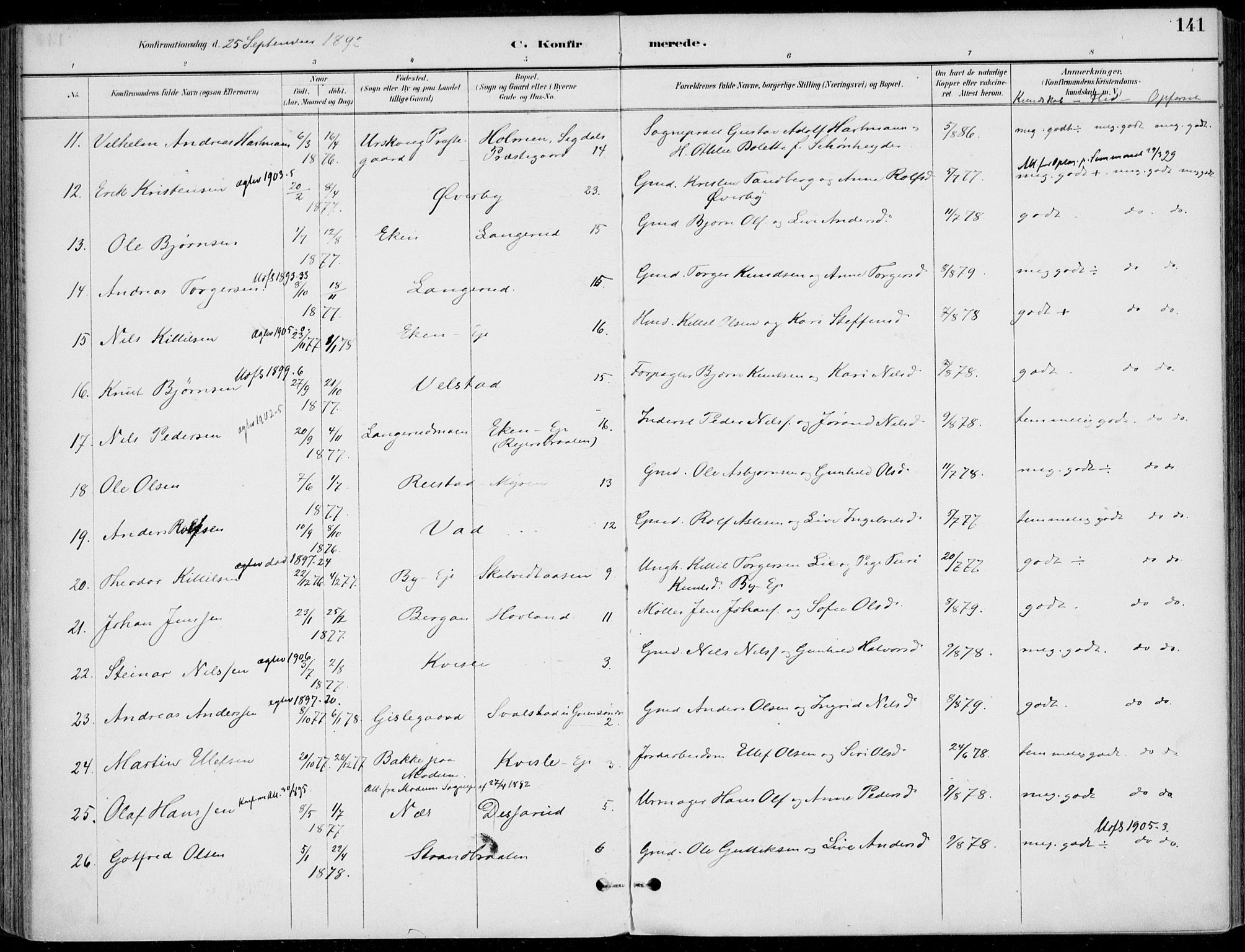 Sigdal kirkebøker, AV/SAKO-A-245/F/Fb/L0001: Parish register (official) no. II 1, 1888-1900, p. 141