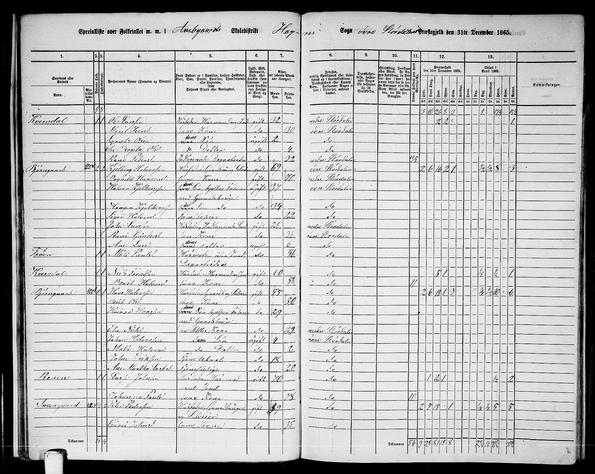 RA, 1865 census for Øvre Stjørdal, 1865, p. 25