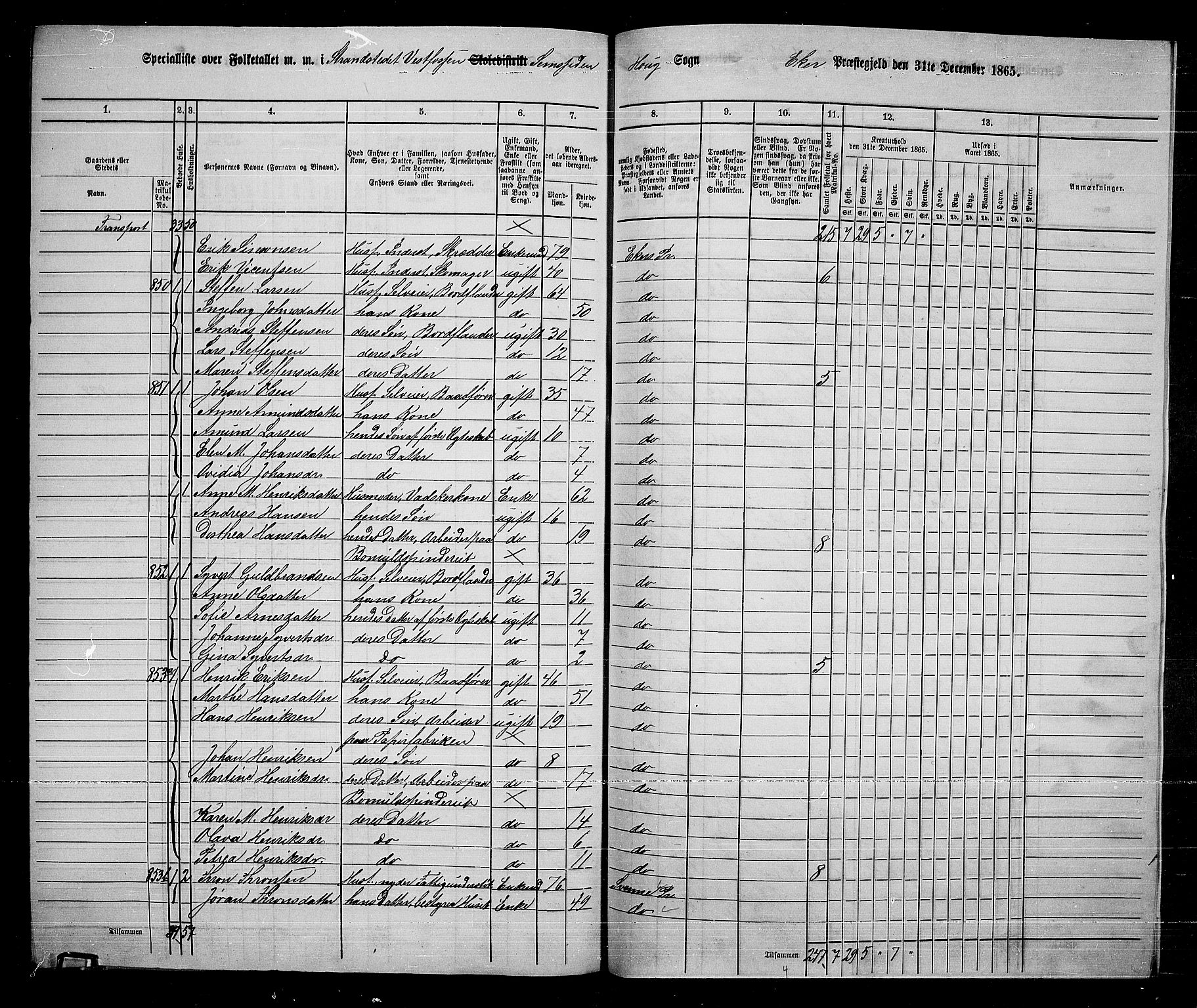 RA, 1865 census for Eiker, 1865, p. 248