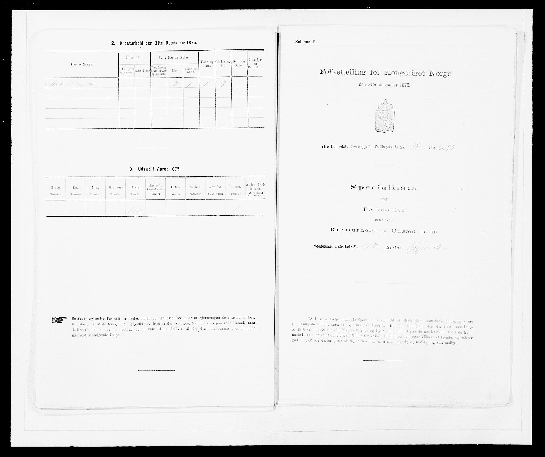 SAB, 1875 census for 1429P Ytre Holmedal, 1875, p. 993