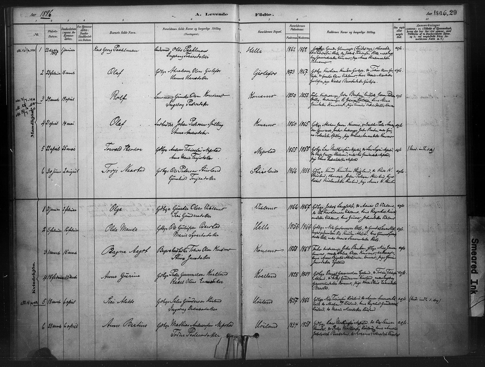 Nord-Audnedal sokneprestkontor, AV/SAK-1111-0032/F/Fa/Faa/L0003: Parish register (official) no. A 3, 1882-1900, p. 29