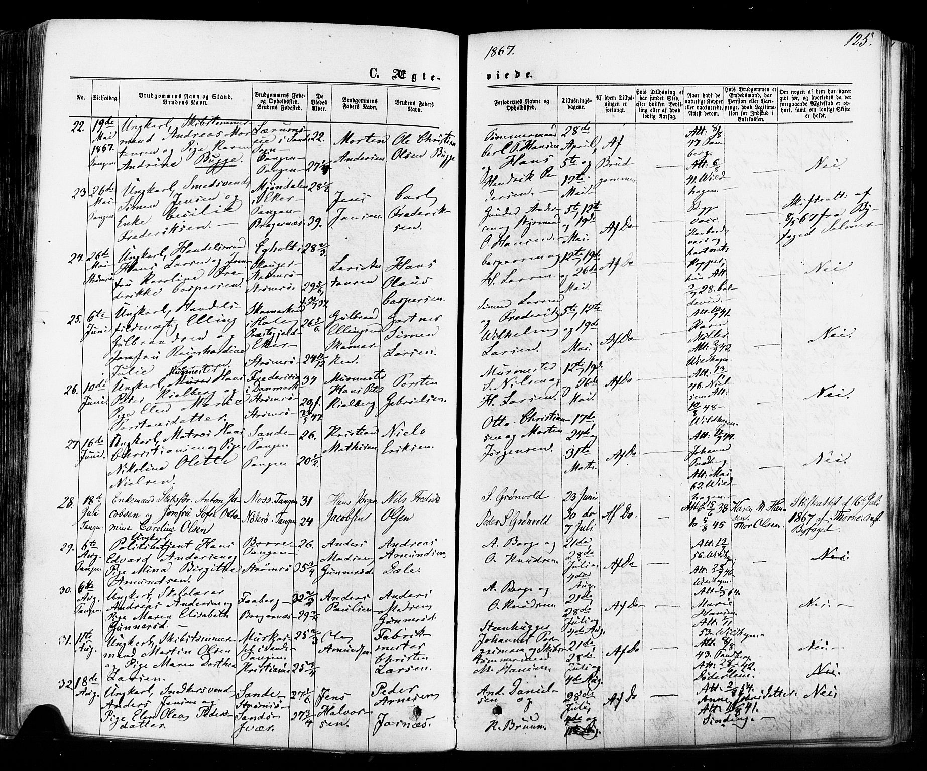 Strømsø kirkebøker, AV/SAKO-A-246/F/Fa/L0018: Parish register (official) no. I 18, 1865-1878, p. 125