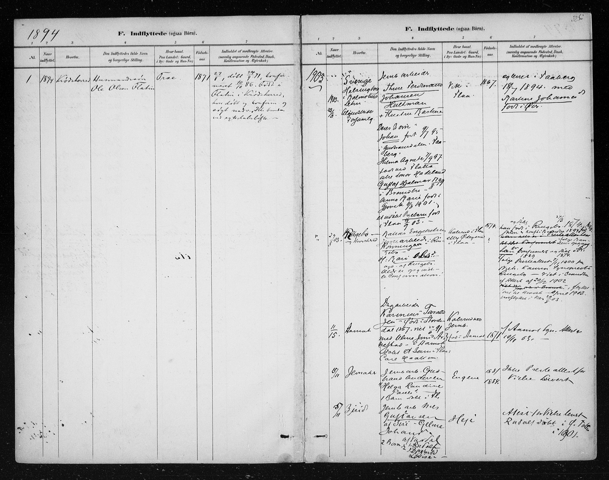 Nes kirkebøker, SAKO/A-236/F/Fa/L0012: Parish register (official) no. 12, 1881-1917, p. 325