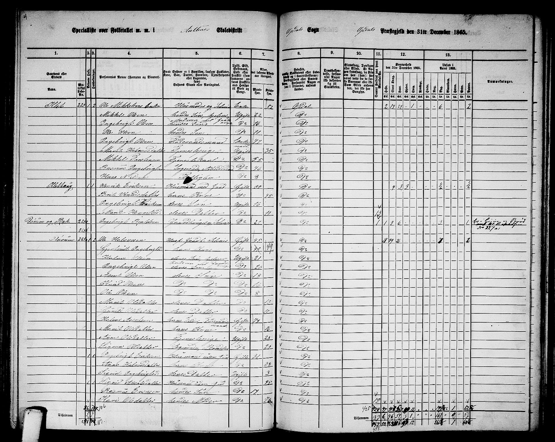 RA, 1865 census for Oppdal, 1865, p. 119