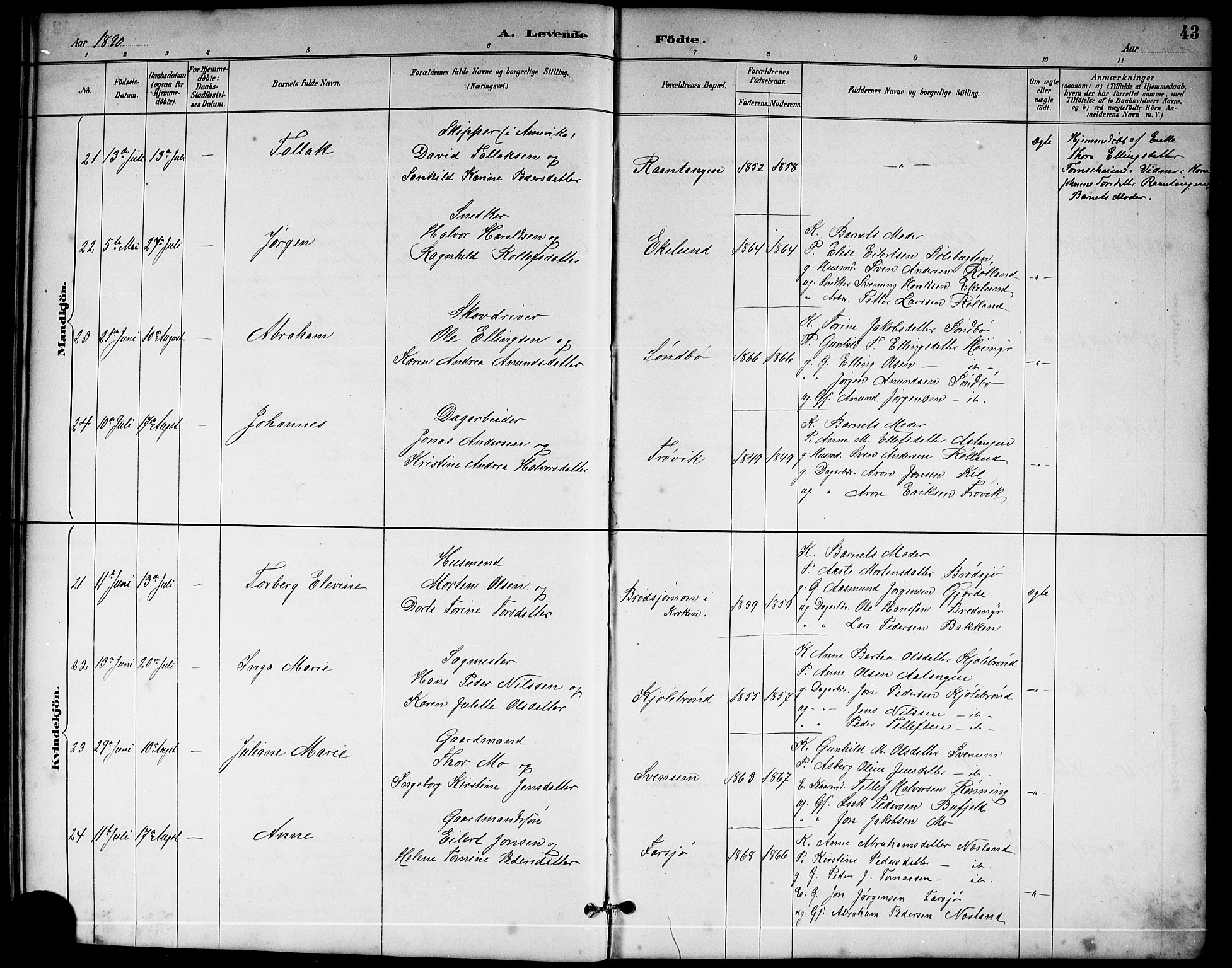 Sannidal kirkebøker, AV/SAKO-A-296/G/Ga/L0003: Parish register (copy) no. 3, 1887-1922, p. 43