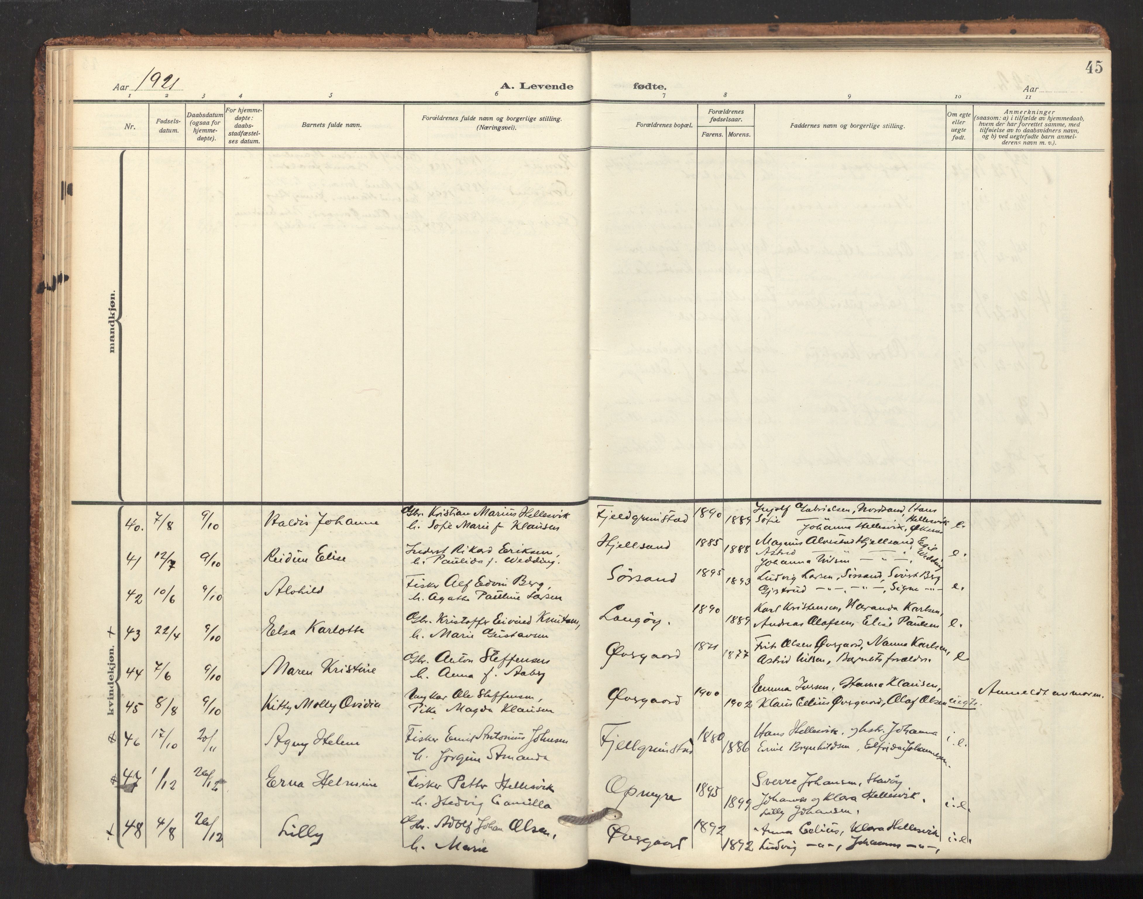 Ministerialprotokoller, klokkerbøker og fødselsregistre - Nordland, SAT/A-1459/893/L1343: Parish register (official) no. 893A15, 1914-1928, p. 45