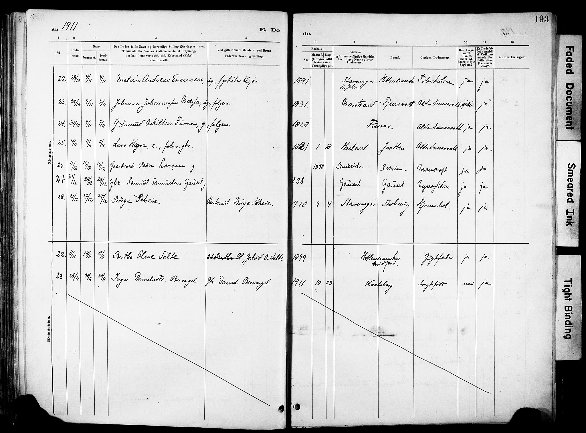 Hetland sokneprestkontor, SAST/A-101826/30/30BA/L0012: Parish register (official) no. A 12, 1882-1912, p. 193