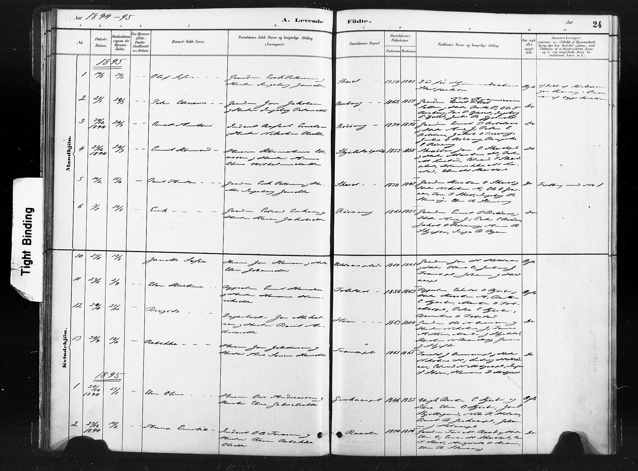 Ministerialprotokoller, klokkerbøker og fødselsregistre - Nord-Trøndelag, SAT/A-1458/736/L0361: Parish register (official) no. 736A01, 1884-1906, p. 24