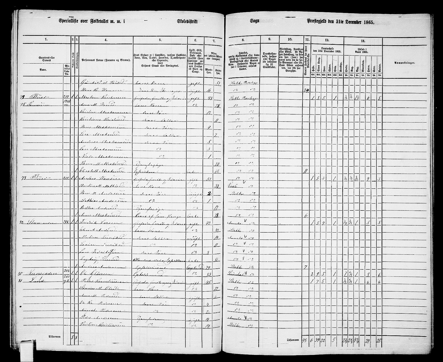 RA, 1865 census for Stokke, 1865, p. 144