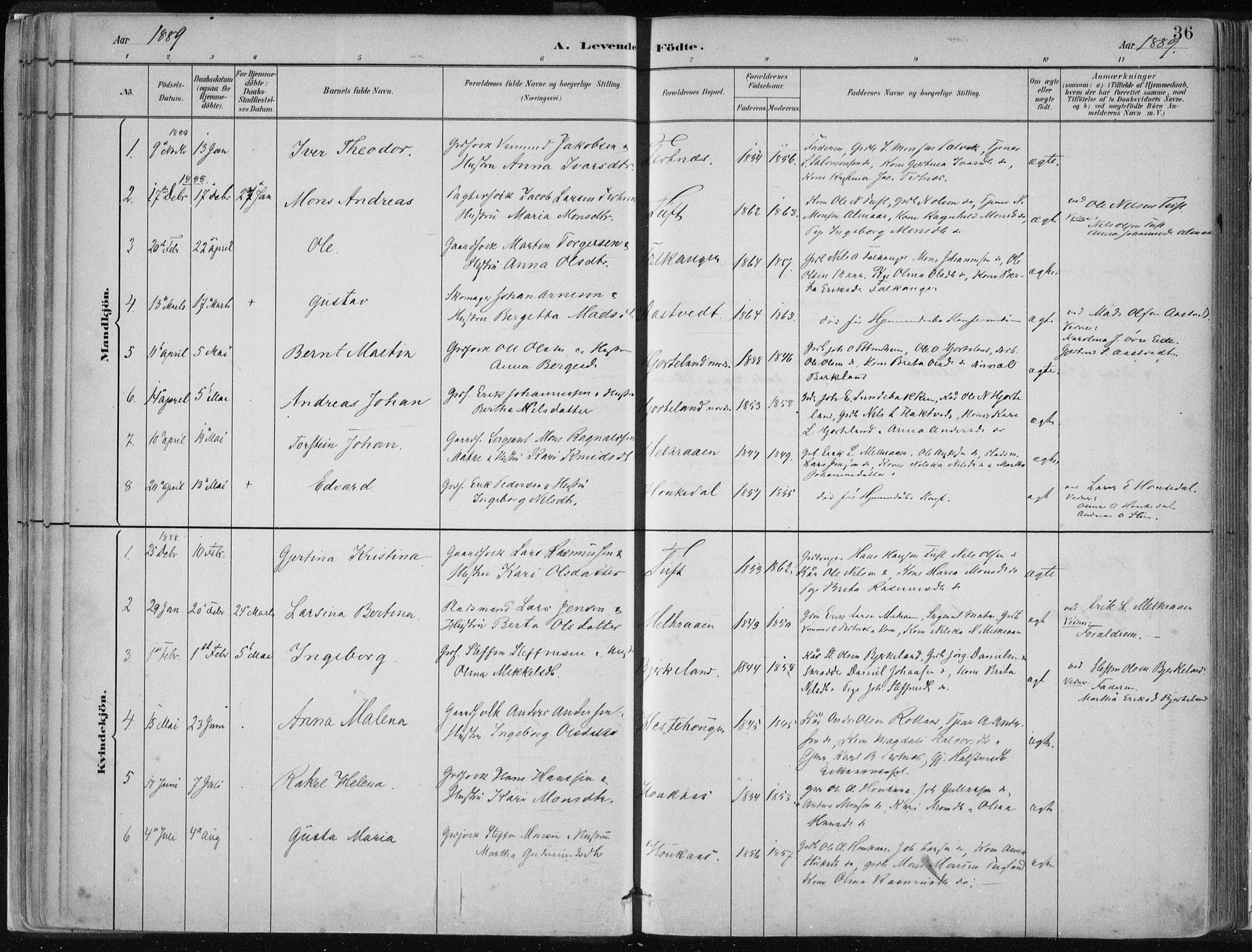 Hamre sokneprestembete, AV/SAB-A-75501/H/Ha/Haa/Haad/L0001: Parish register (official) no. D  1, 1882-1906, p. 36