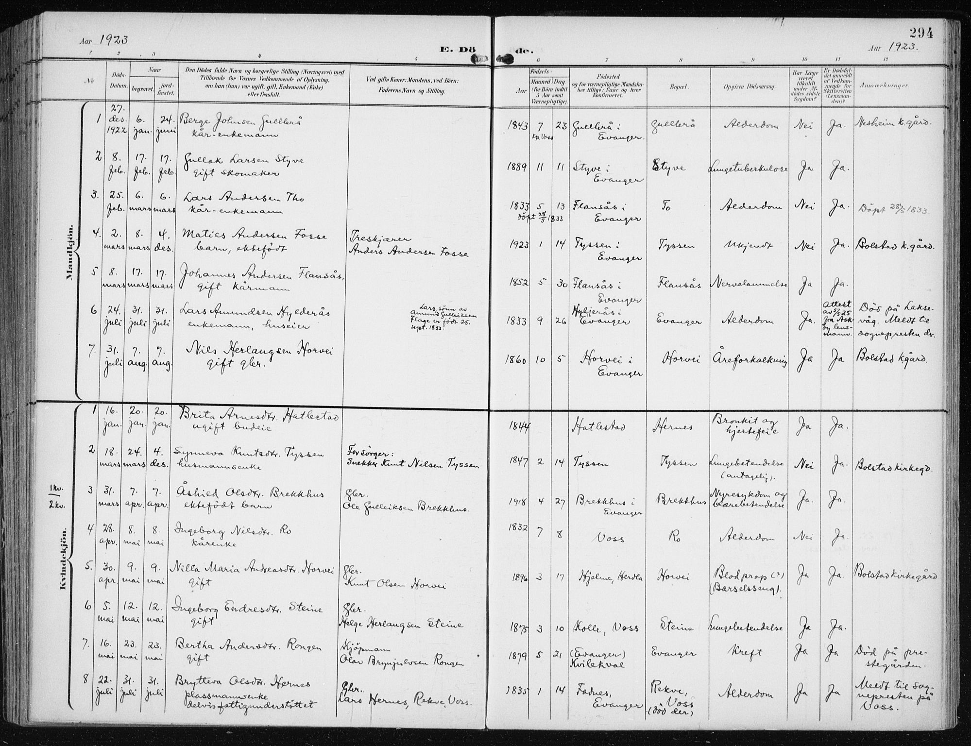 Evanger sokneprestembete, AV/SAB-A-99924: Parish register (official) no. A  3, 1900-1930, p. 294