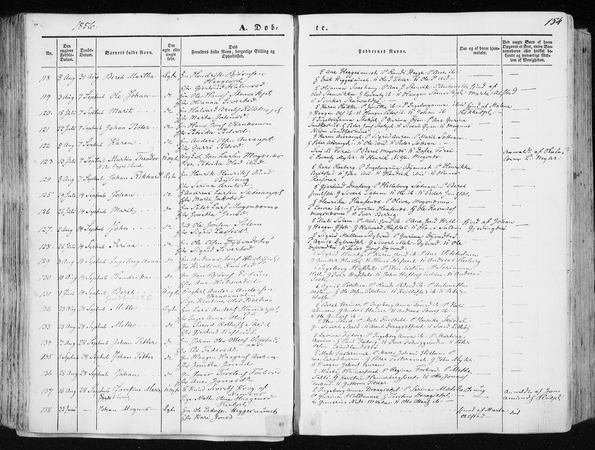 Ministerialprotokoller, klokkerbøker og fødselsregistre - Nord-Trøndelag, AV/SAT-A-1458/709/L0074: Parish register (official) no. 709A14, 1845-1858, p. 154