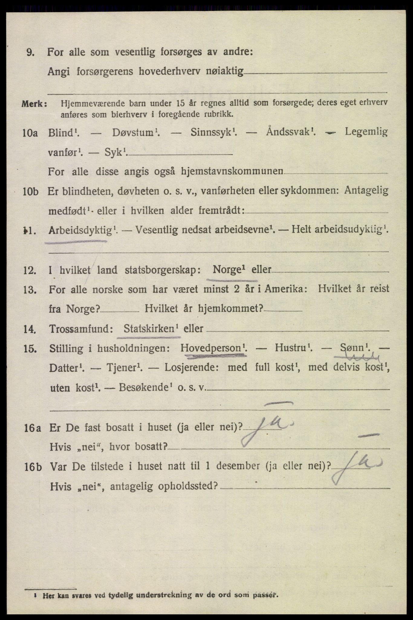 SAH, 1920 census for Søndre Land, 1920, p. 6894