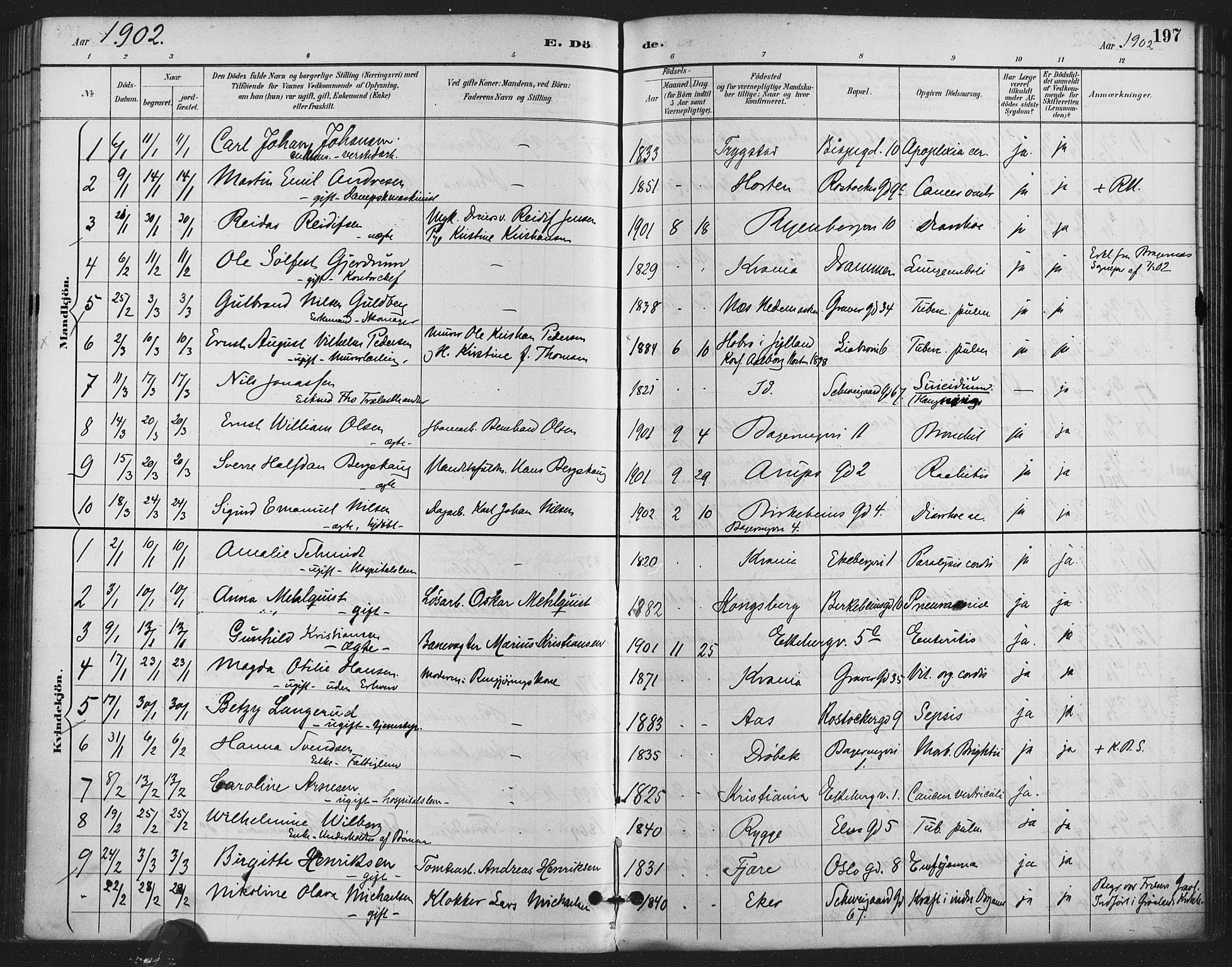 Gamlebyen prestekontor Kirkebøker, SAO/A-10884/F/Fa/L0009: Parish register (official) no. 9, 1888-1909, p. 197